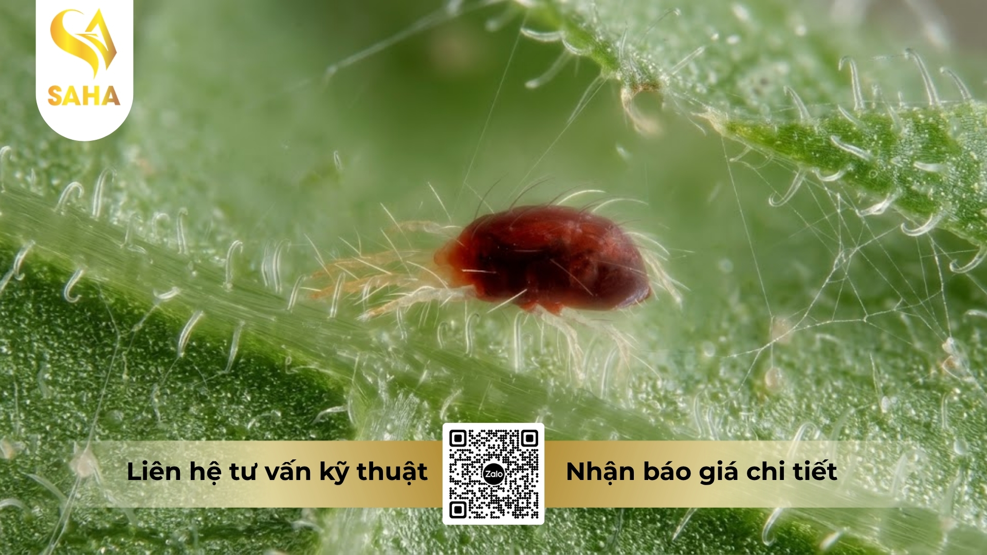 thong-tin-chung-thuoc-tru-sau-ad-shark-30sc.jpg
