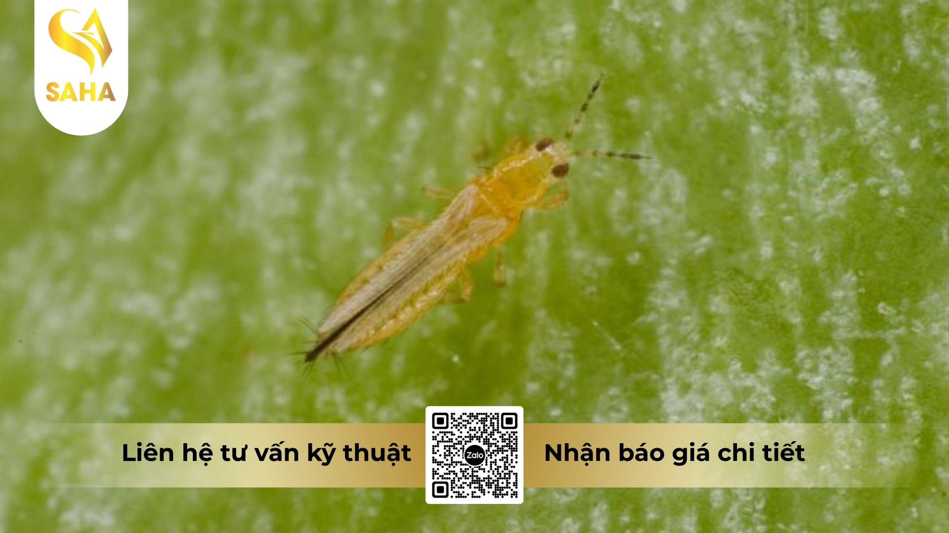 huong-dan-su-dung.jpg