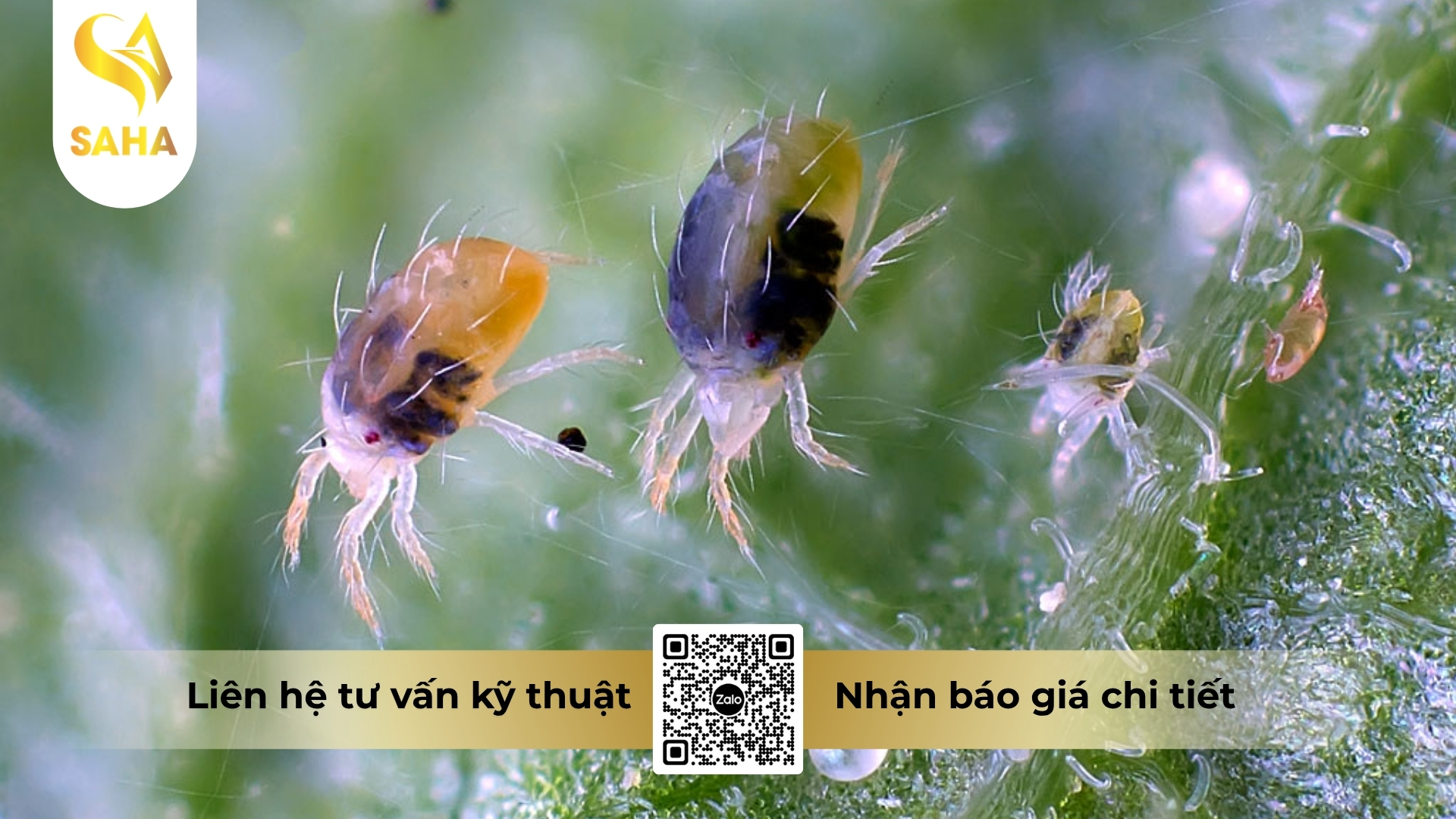 cau-hoi-thuong-gap.jpg