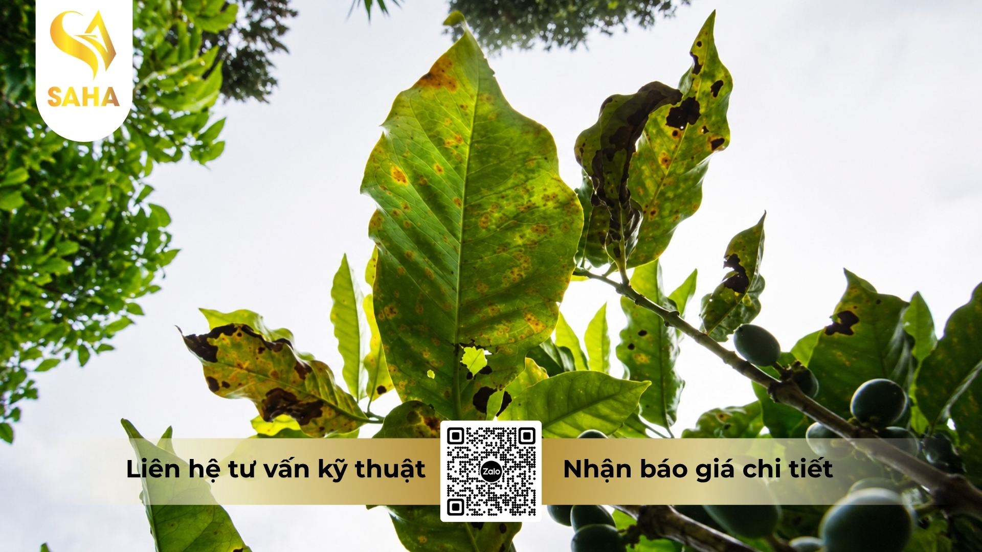 cong-dung-thuoc-tru-benh-ad-siva-45sc.jpg