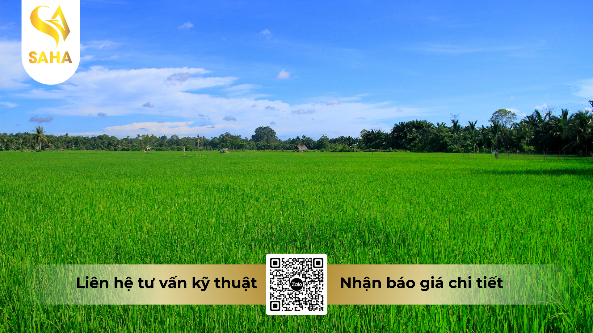 cau-hoi-thuong-gap-ve-thuoc-tru-sau-longanchess-700wg-hieu-diet-ray-s.png