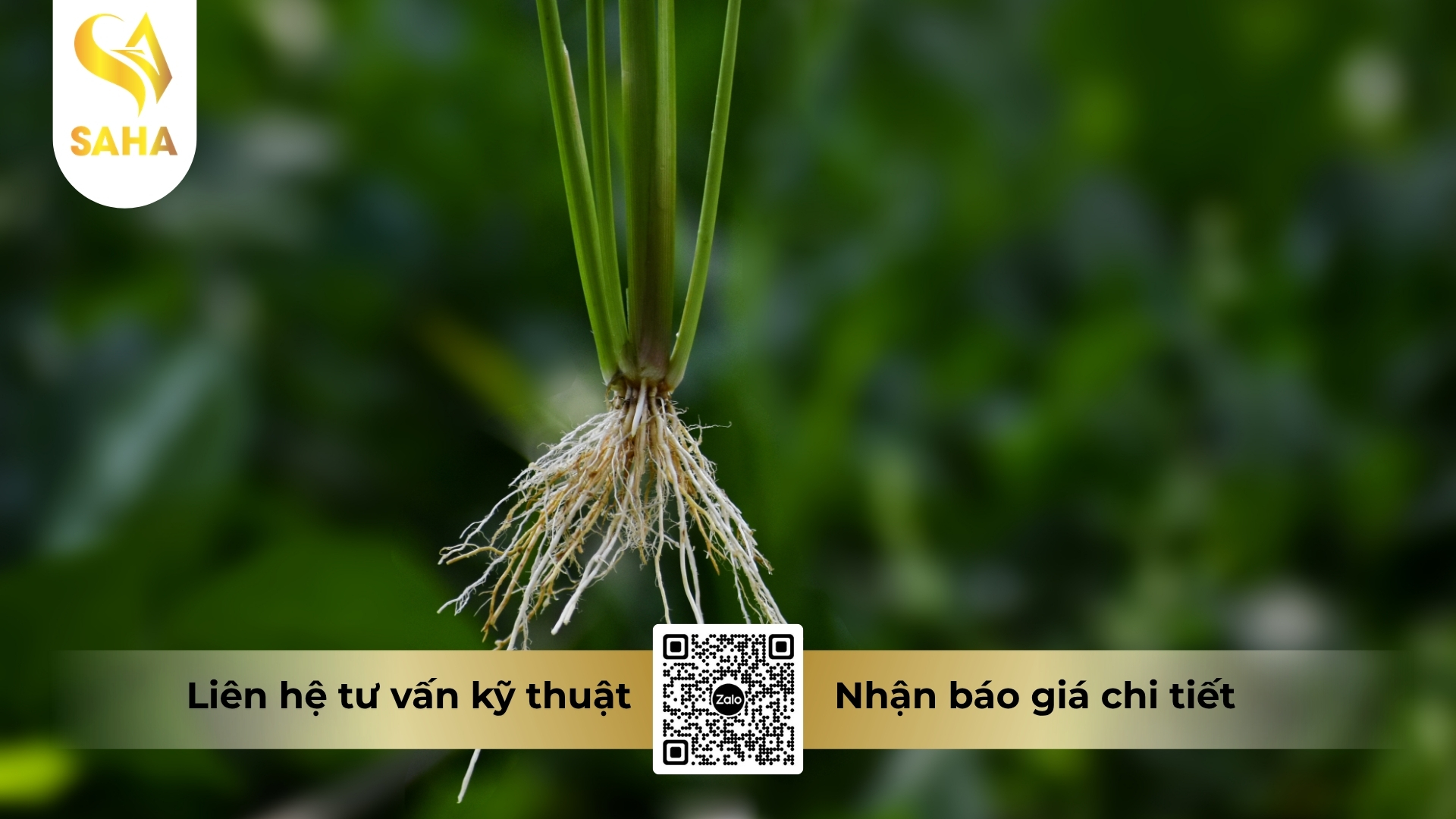 thong-tin-chung-thuoc-dieu-hoa-sinh-truong-ademon-super-22-43sl.jpg