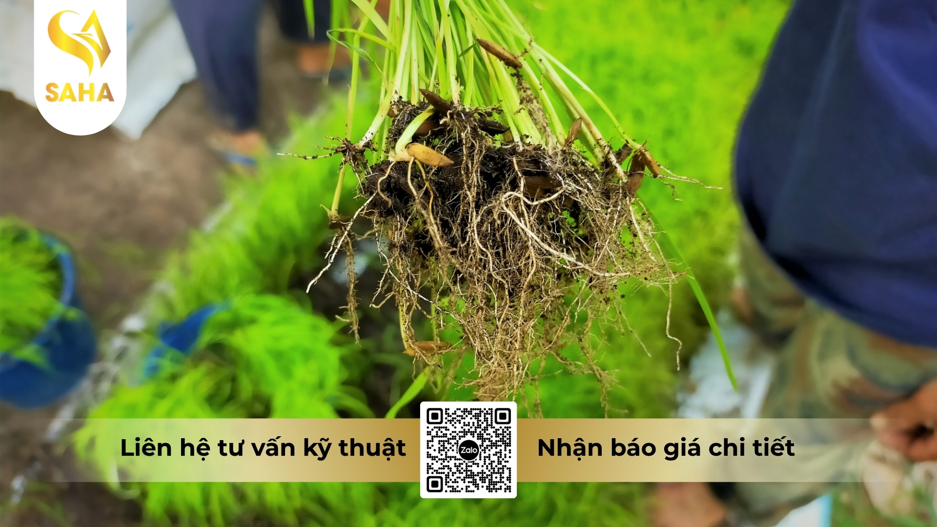 cong-dung-thuoc-dieu-hoa-sinh-truong-ademon-super-22-43sl.jpg