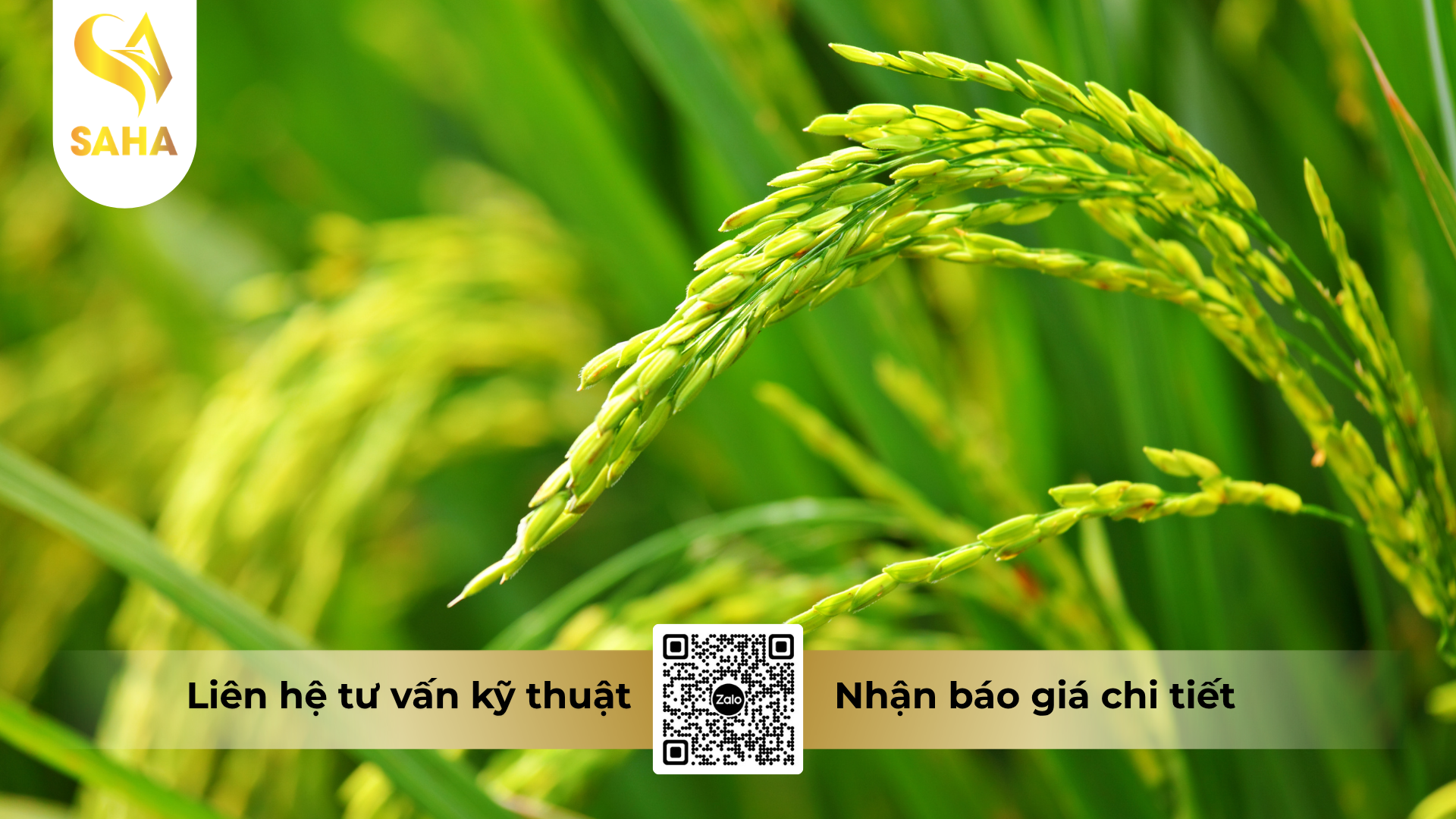 cau-hoi-thuong-gap-ve-thuoc-tru-sau-longanchess-700wg-hieu-diet-ray-s.png