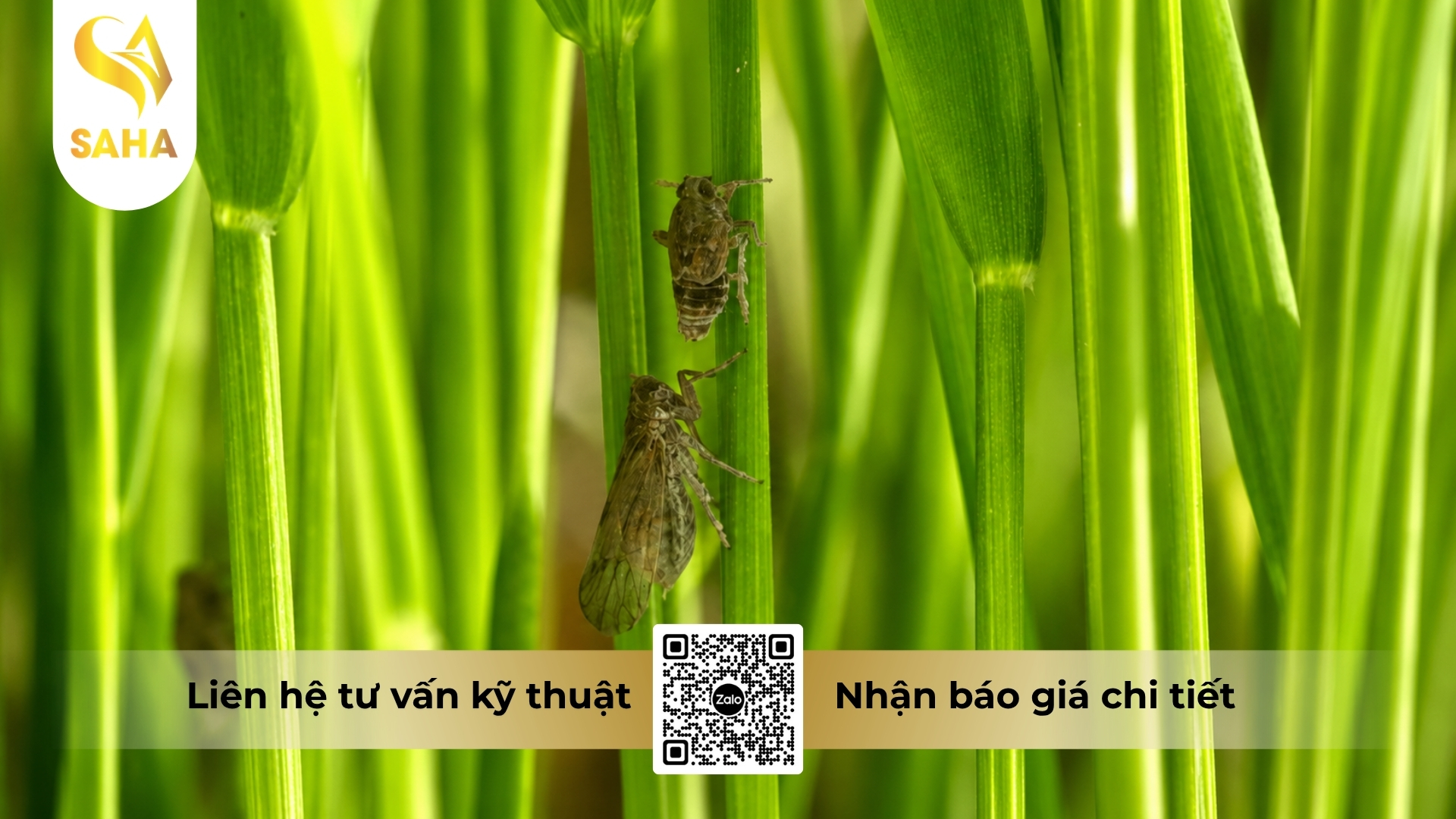 cong-dung-thuoc-tru-sau-admitox-100sl.jpg