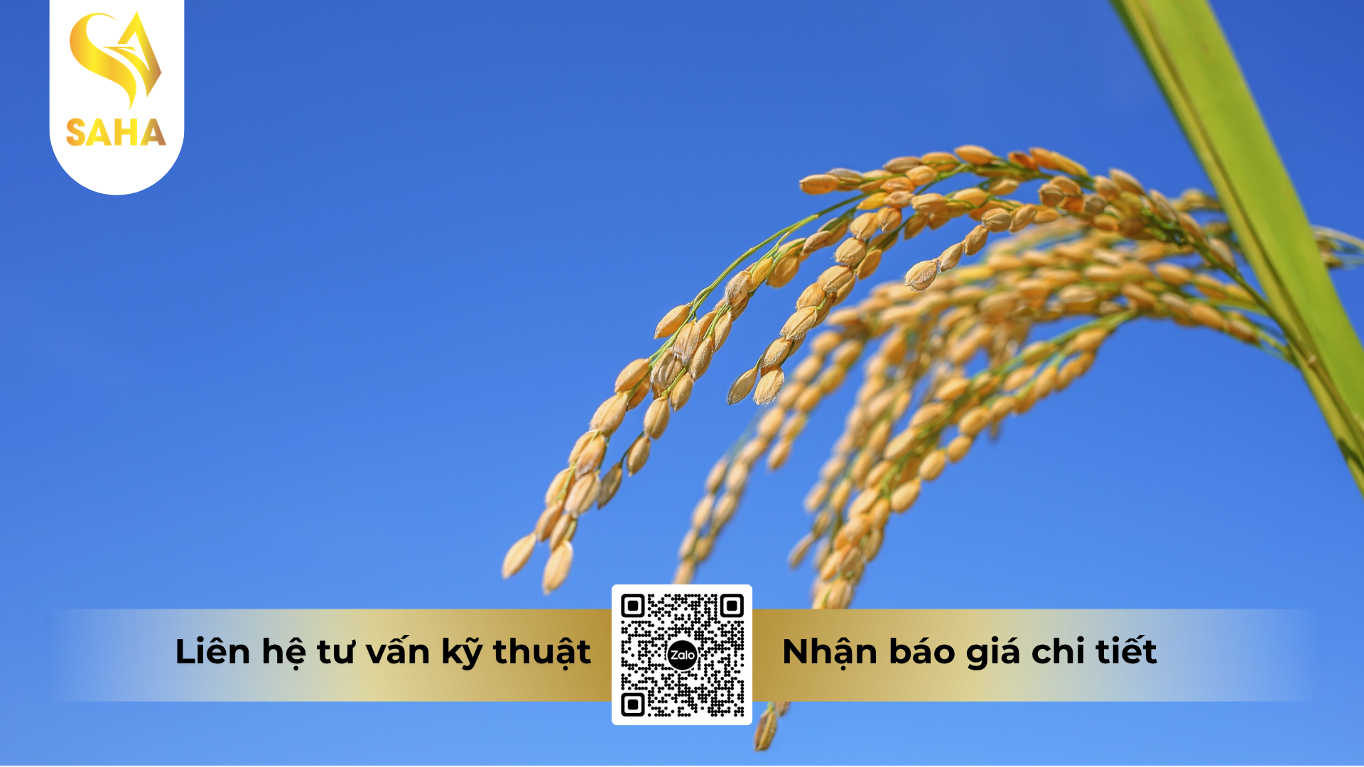 cau-hoi-thuong-gap-ve-thuoc-tru-sau-mikhada-70wg-hieu-chanray-700.png