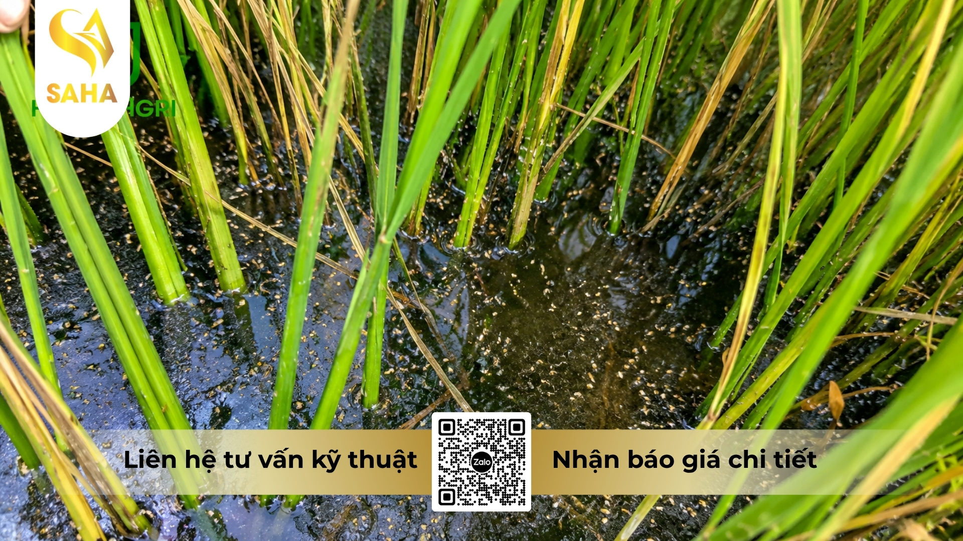 cau-hoi-thuong-gap.jpg