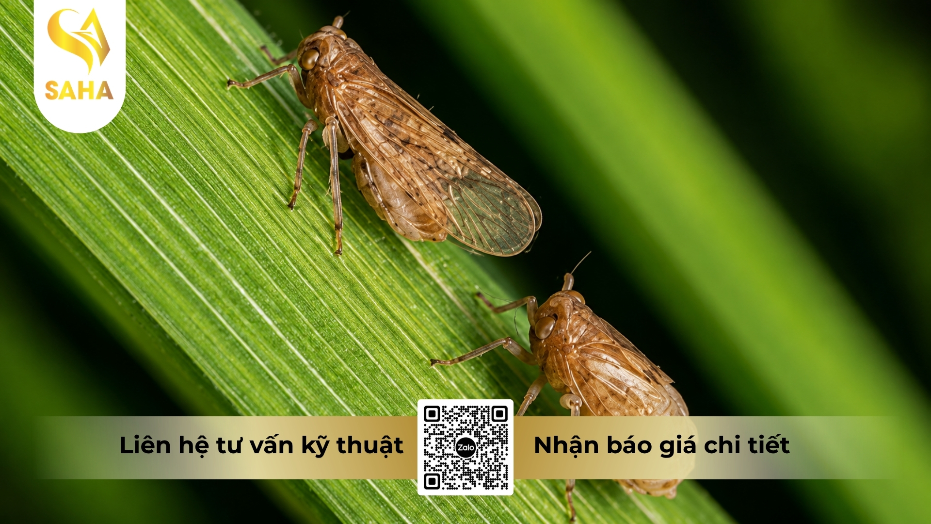 cau-hoi-thuong-gap.jpg