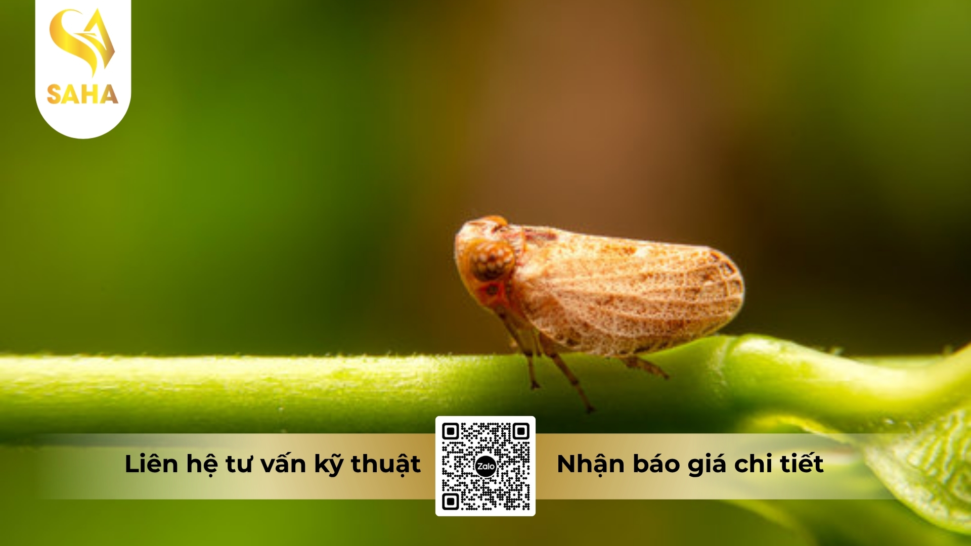thong-tin-chung-thuoc-tru-sau-admitox-750wg.jpg