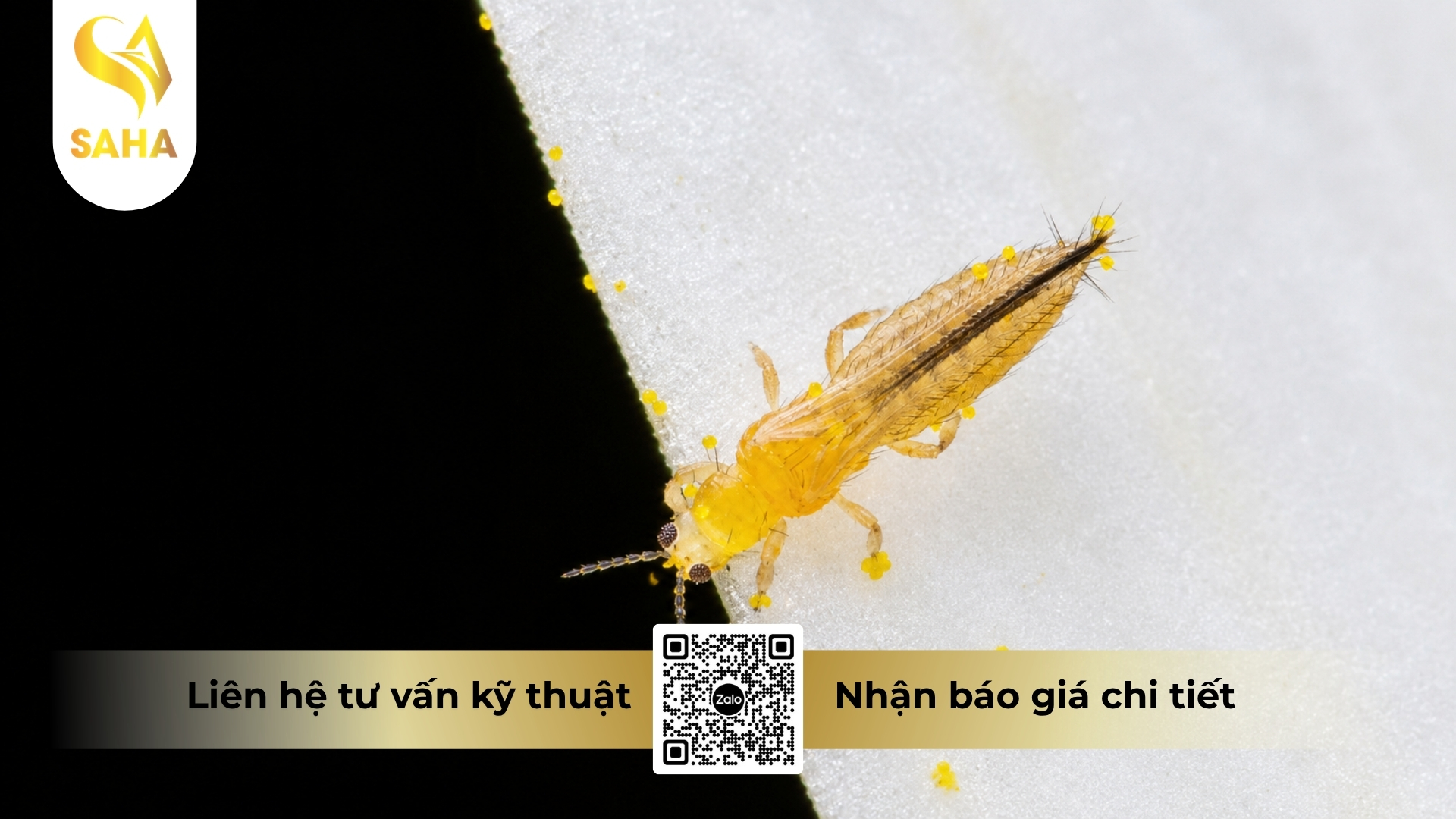 cong-dung-thuoc-tru-sau-admitox-750wg.jpg