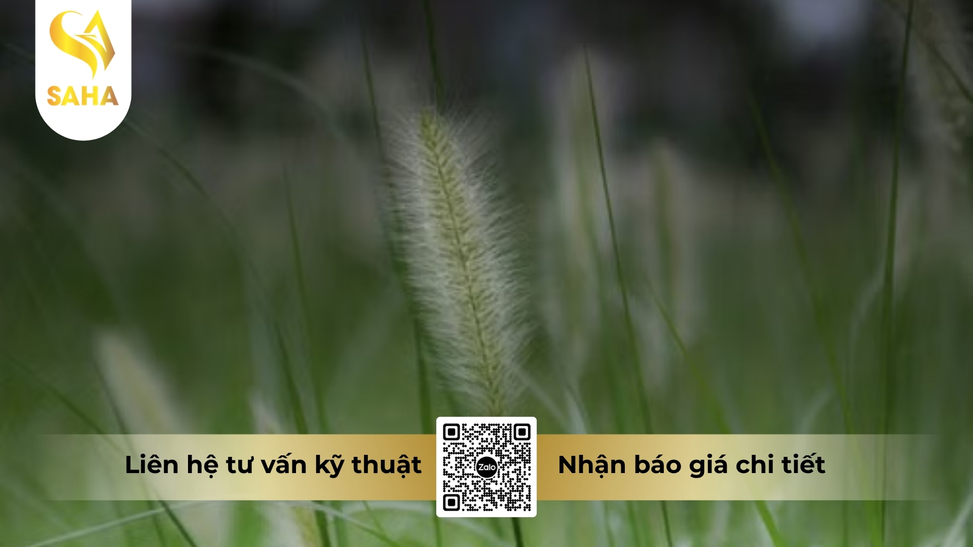 cong-dung-thuoc-tru-co-adu-meso-one-150sc.jpg