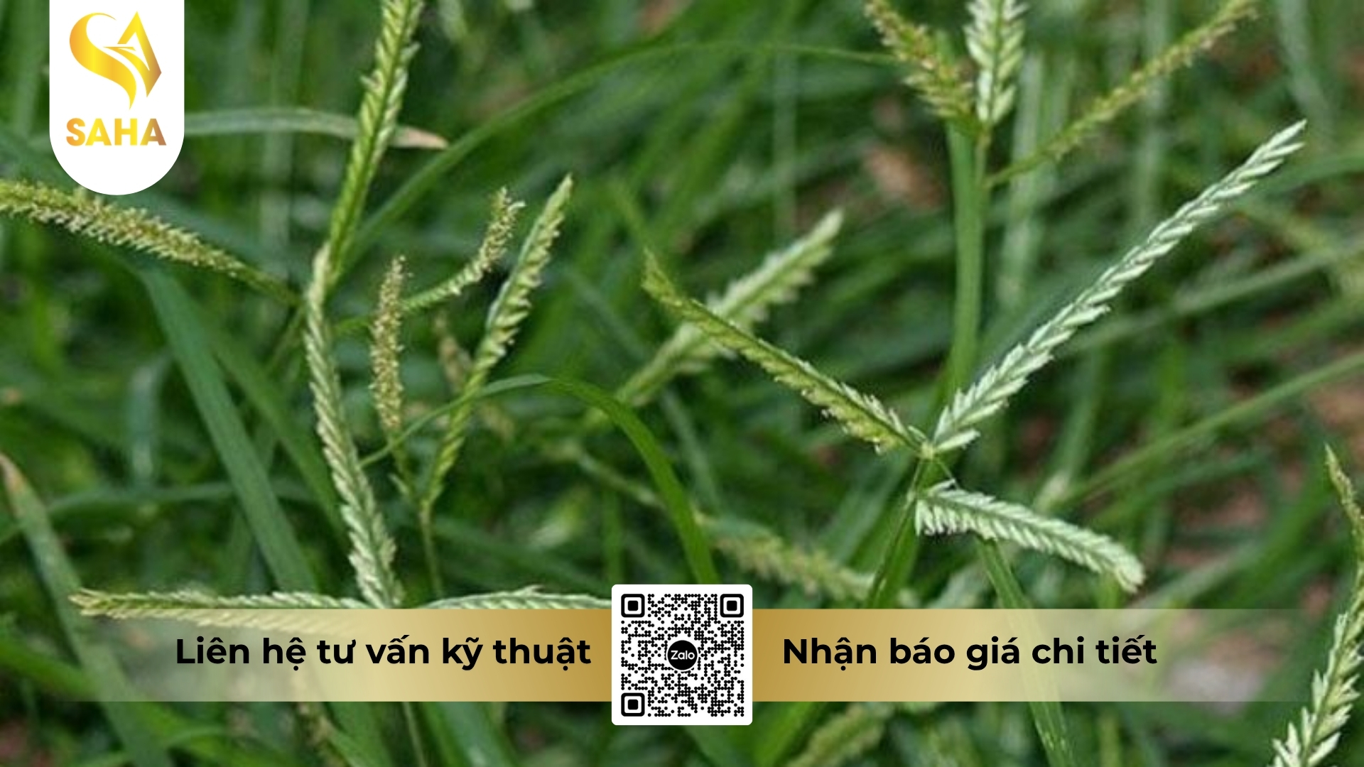 cau-hoi-thuong-gap.jpg