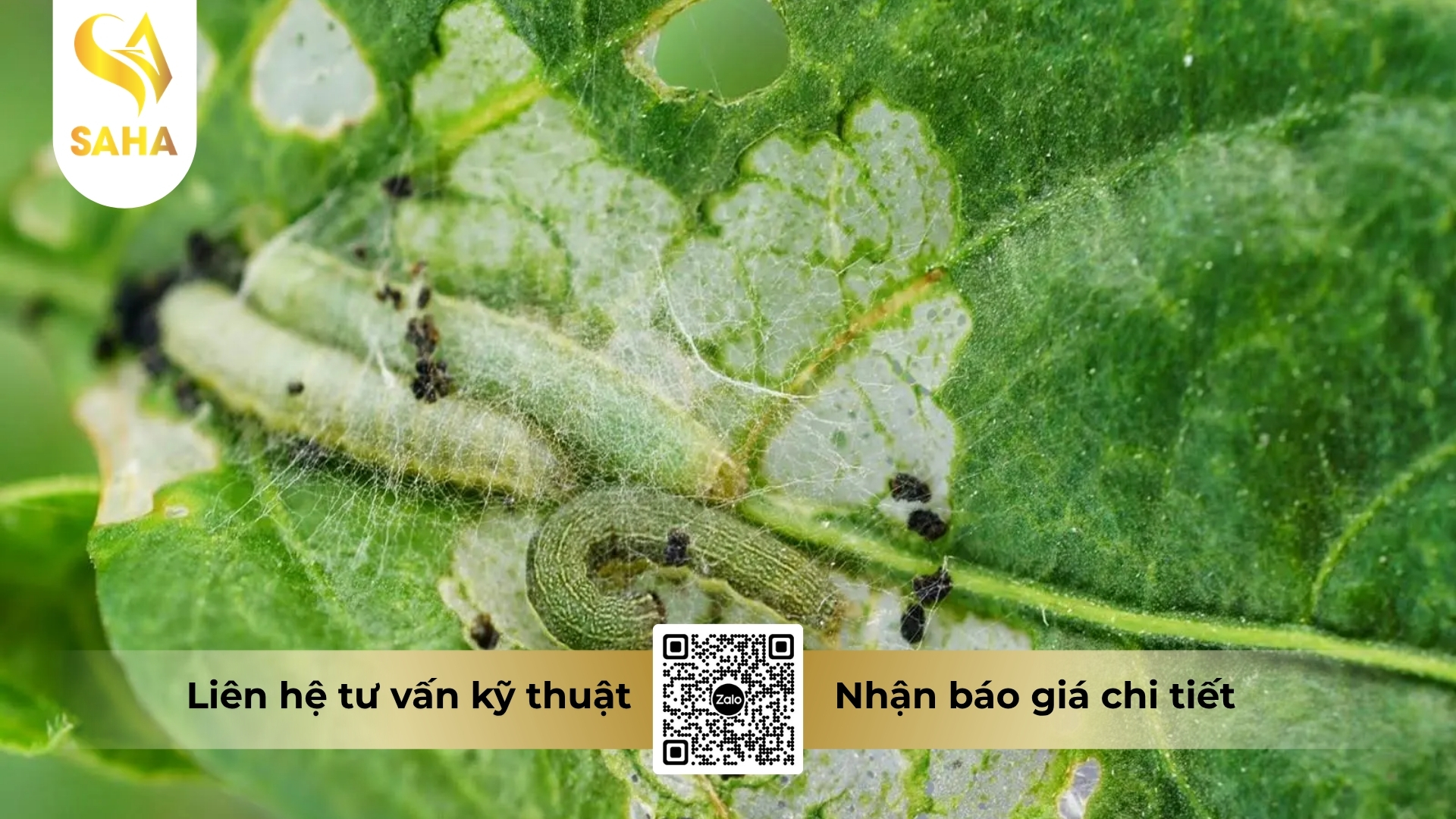thong-tin-chung-thuoc-tru-sau-adu-feno-200sc.jpg