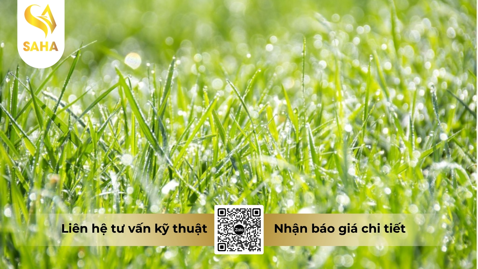 thong-tin-chung-thuoc-tru-co-adumekazin-40od.jpg