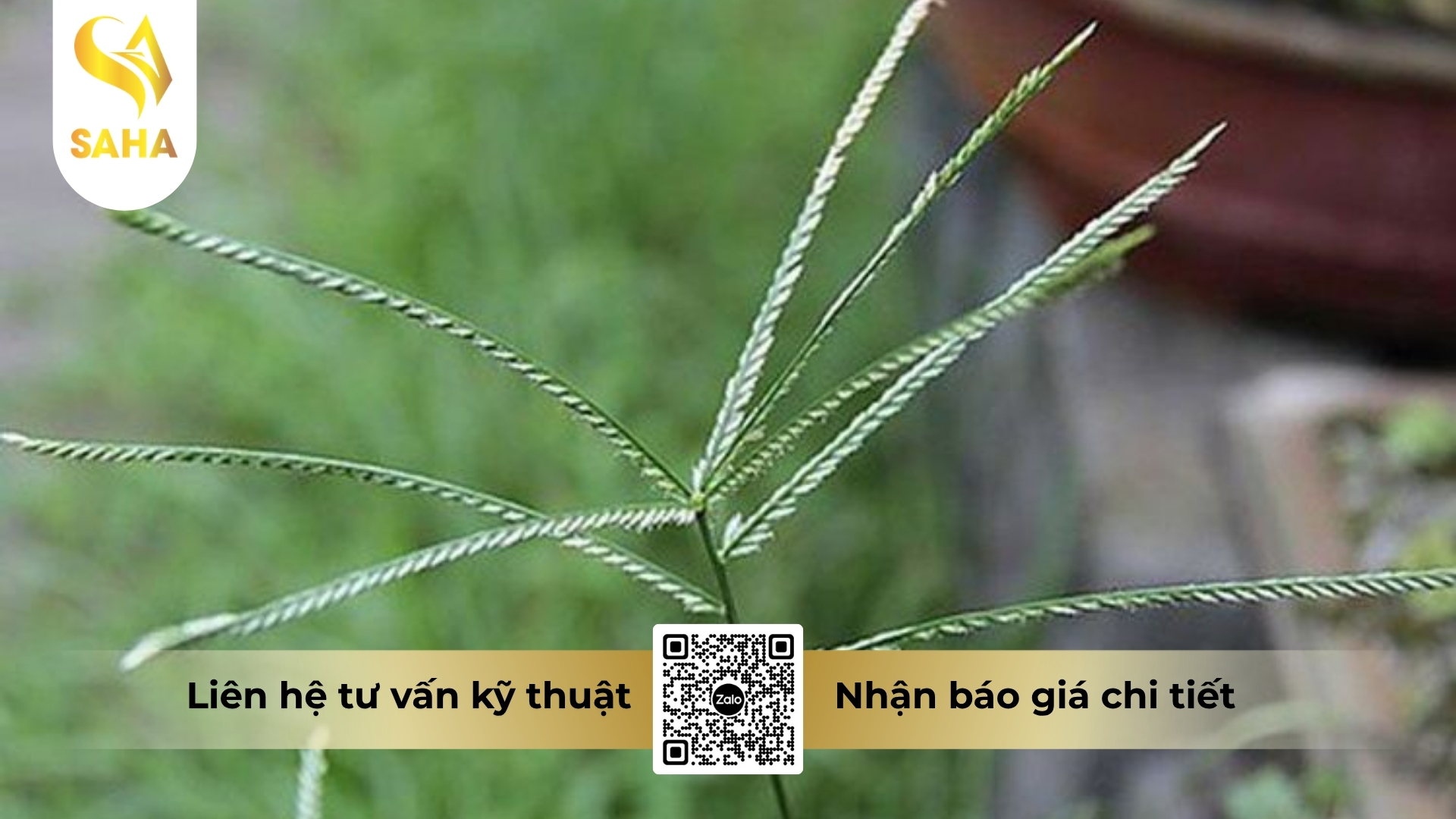 cong-dung-thuoc-tru-co-adumekazin-40od.jpg