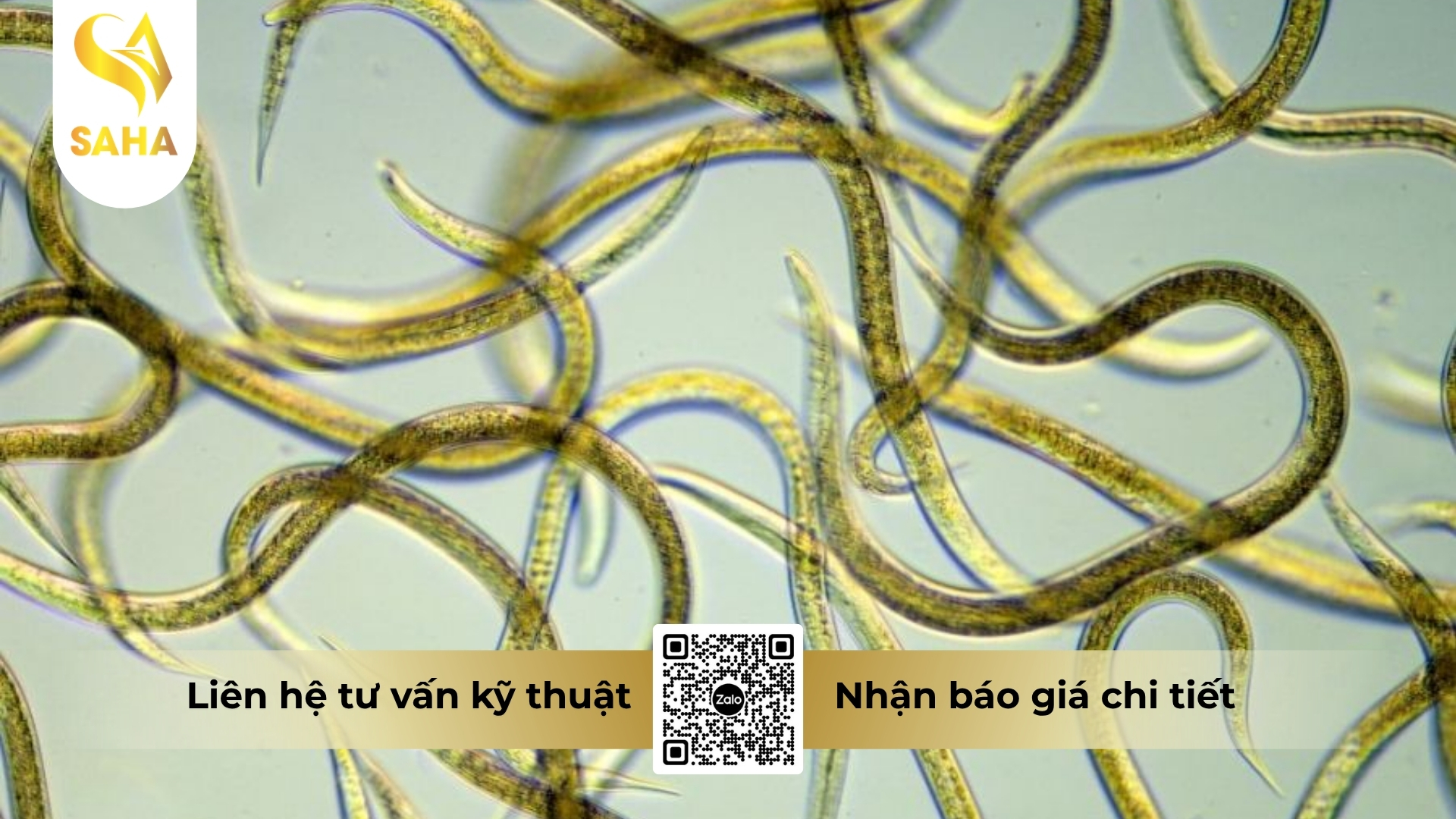 thong-tin-chung-thuoc-tru-sau-adu-nonema-50gr.jpg