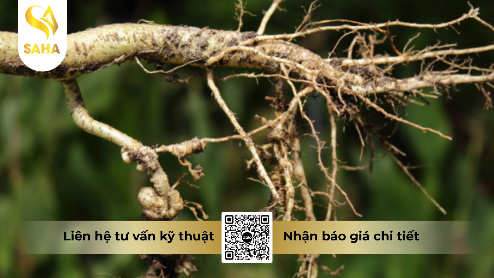 cong-dung-thuoc-tru-sau-adu-nonema-50gr.jpg