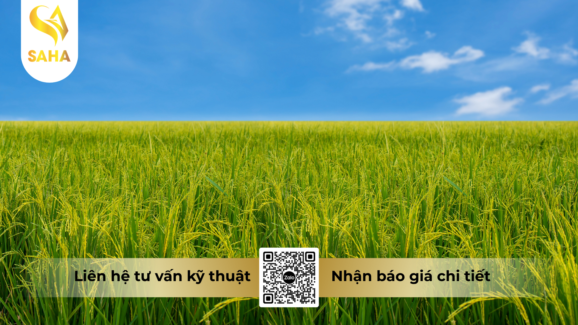 cau-hoi-thuong-gap-ve-thuoc-tru-ray-ma-luc-250wp.png