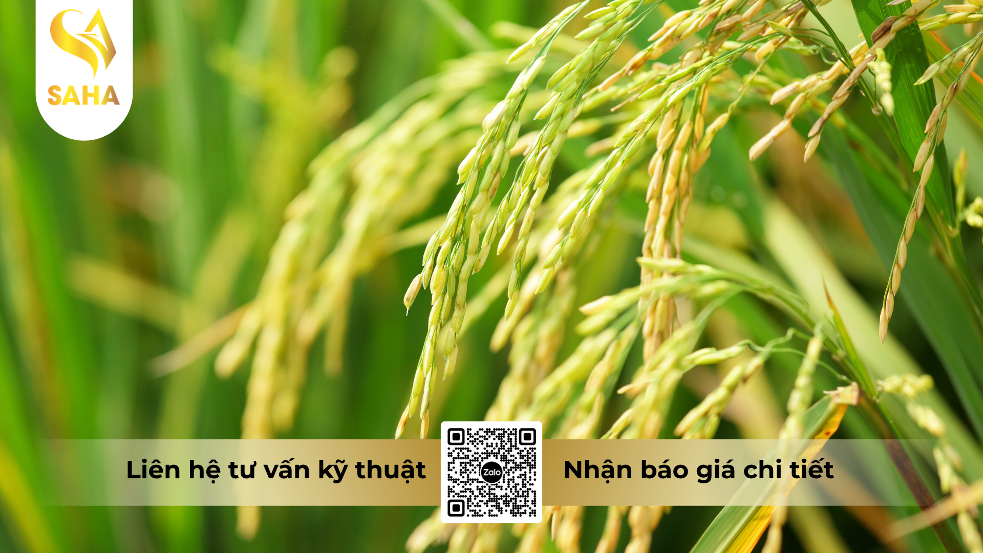 cau-hoi-thuong-gap-ve-thuoc-tru-sau-nitendo-80wg-hieu-xoarayrep-800.png