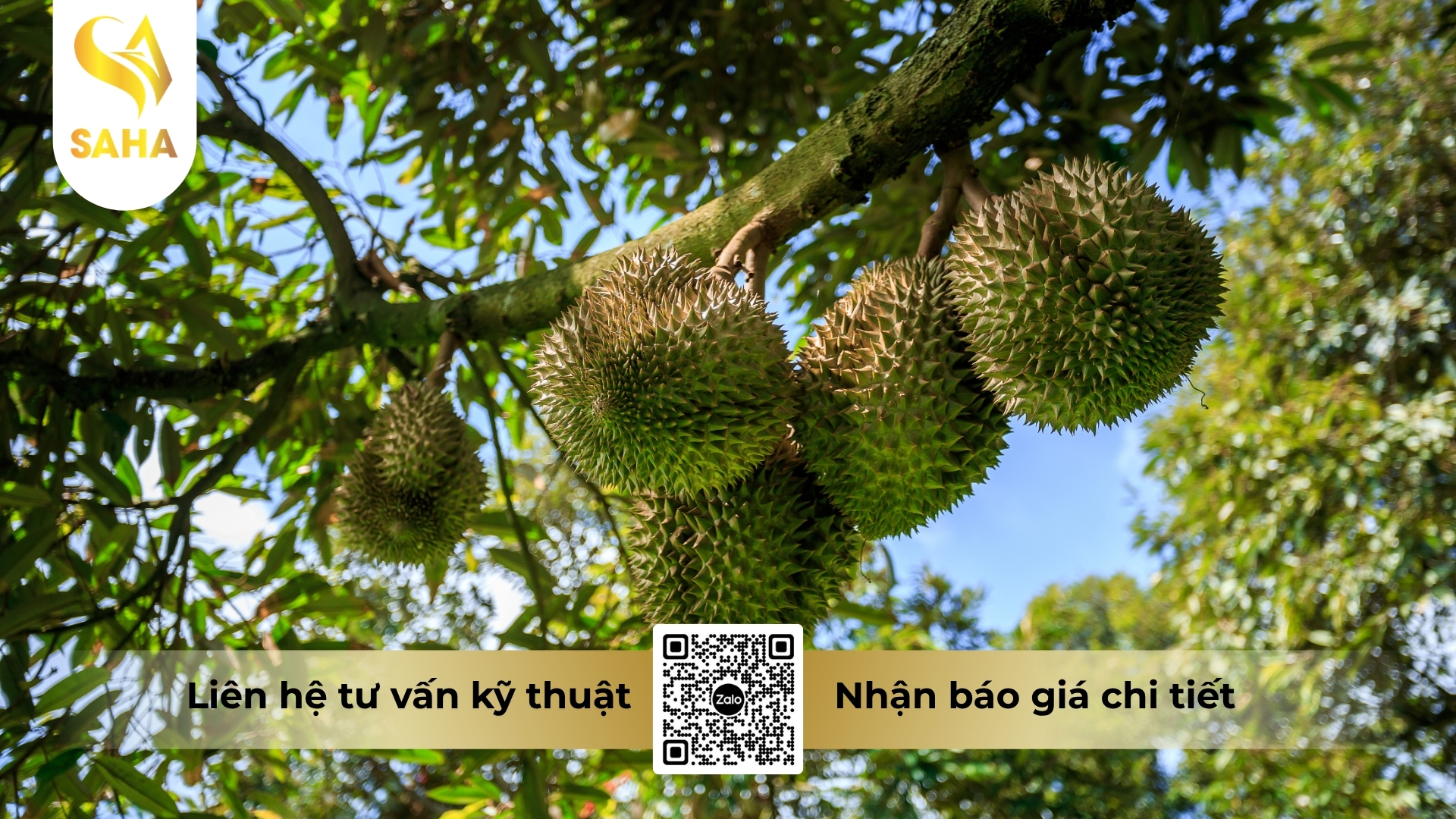 cong-dung-phan-bon-la-vi-luong-nbc-bo-15-hieu-habo-gold.jpg