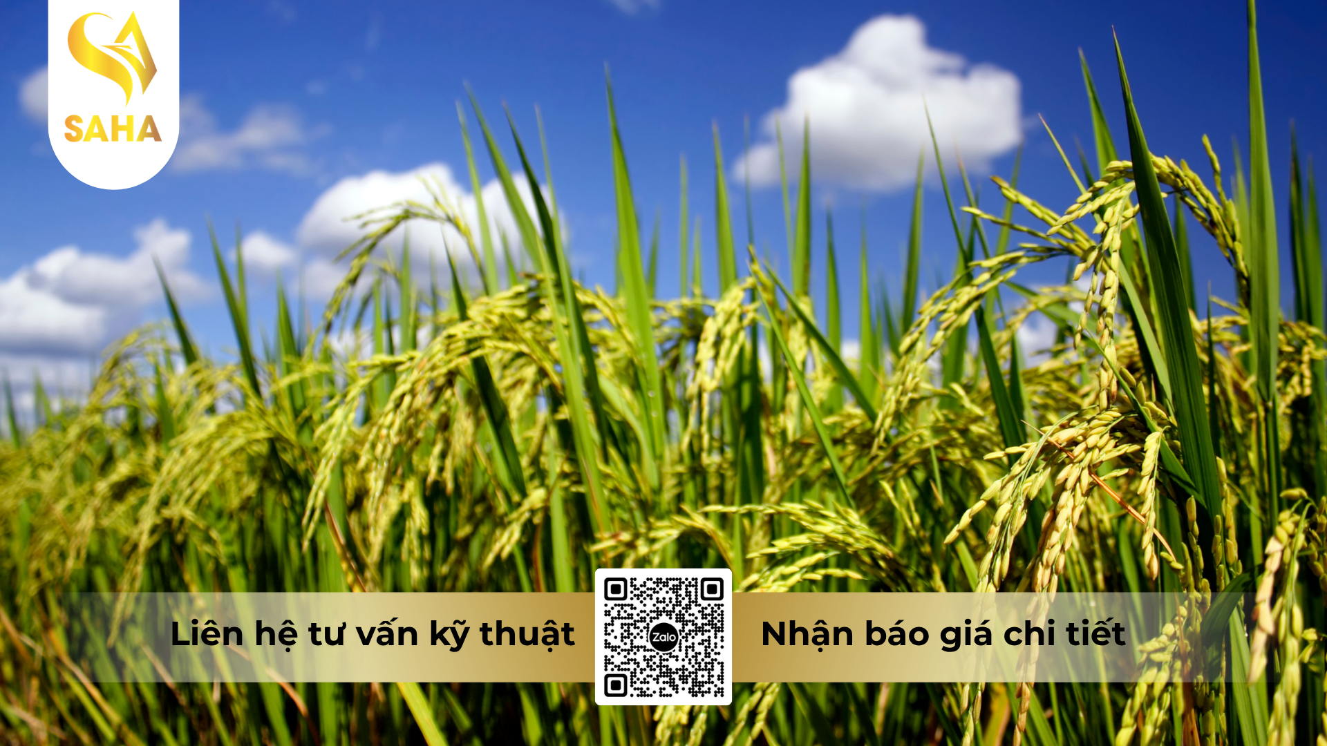 cau-hoi-thuong-gap-ve-thuoc-tru-sau-rep-play-75wp-hieu-hama-750.png