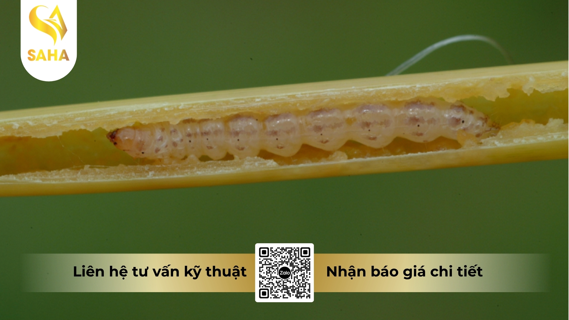 thong-tin-chung-thuoc-tru-sau-afudan-20sc.jpg