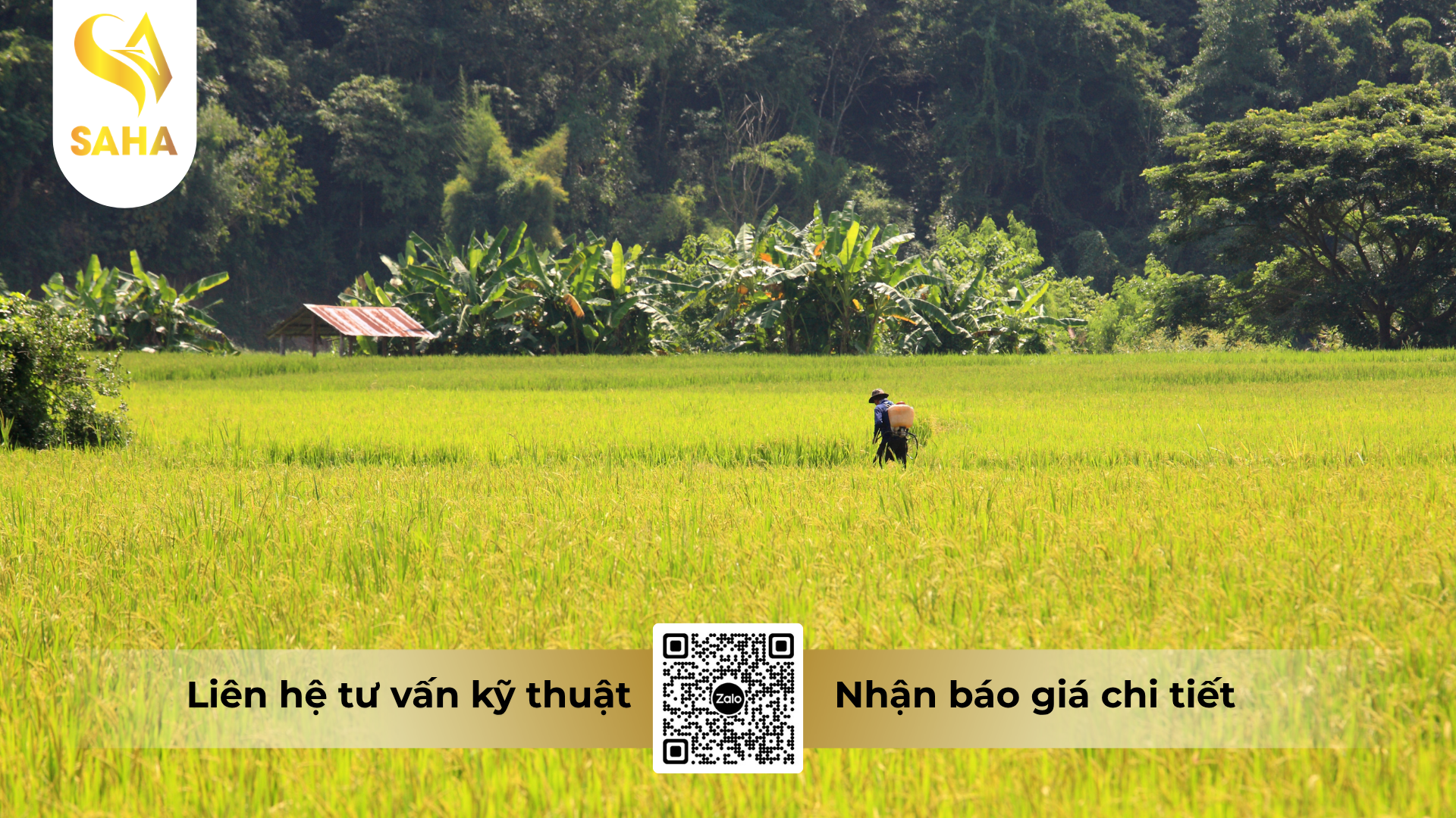 huong-dan-su-dung-thuoc-tru-sau-than-cong-gold-39wp-hieu-rong-sinh-doi.png
