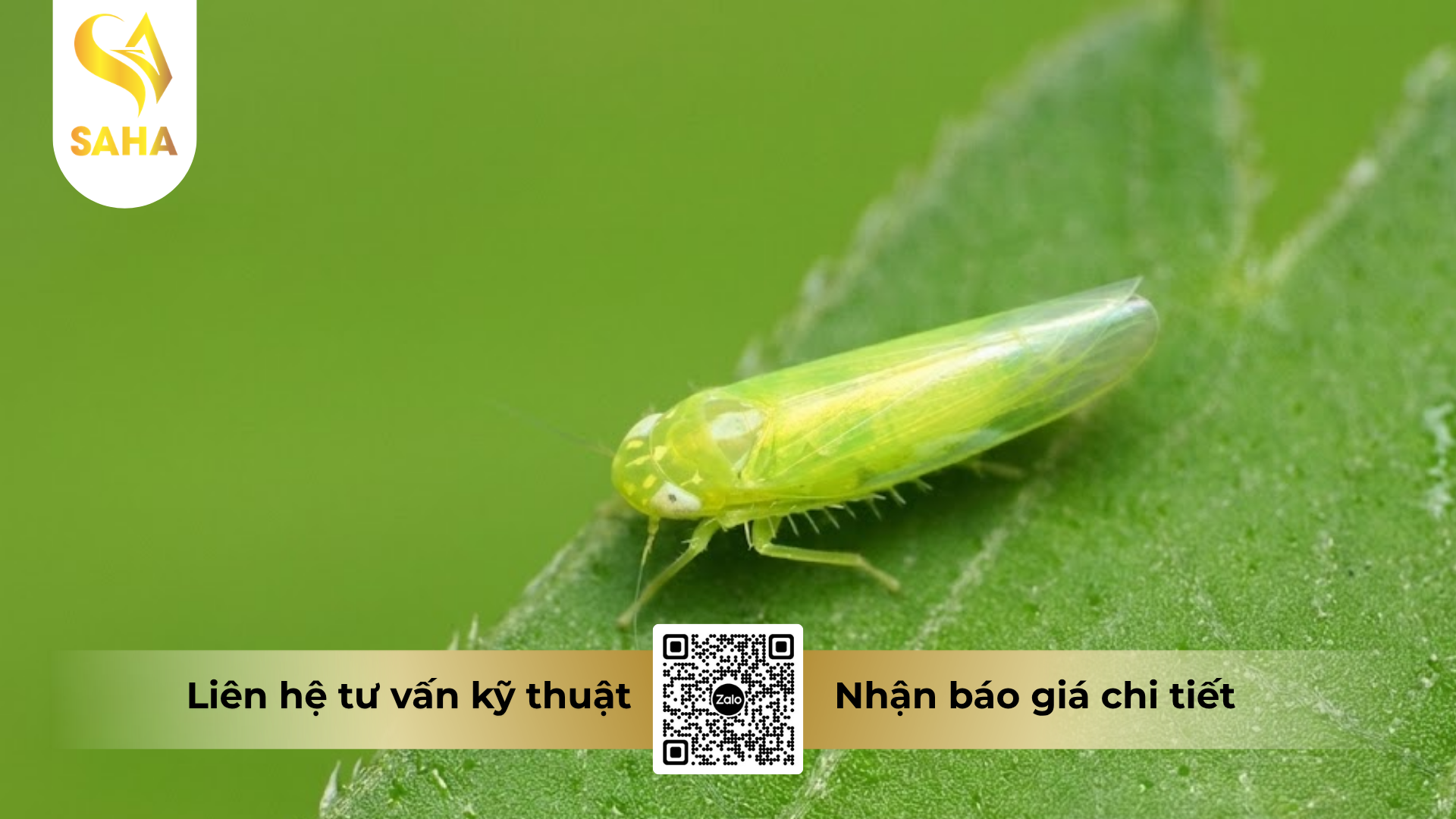 cong-dung-cua-thuoc-tru-sau-cao-cap-vithadan-95wp-hieu-sadangold-95wp.png