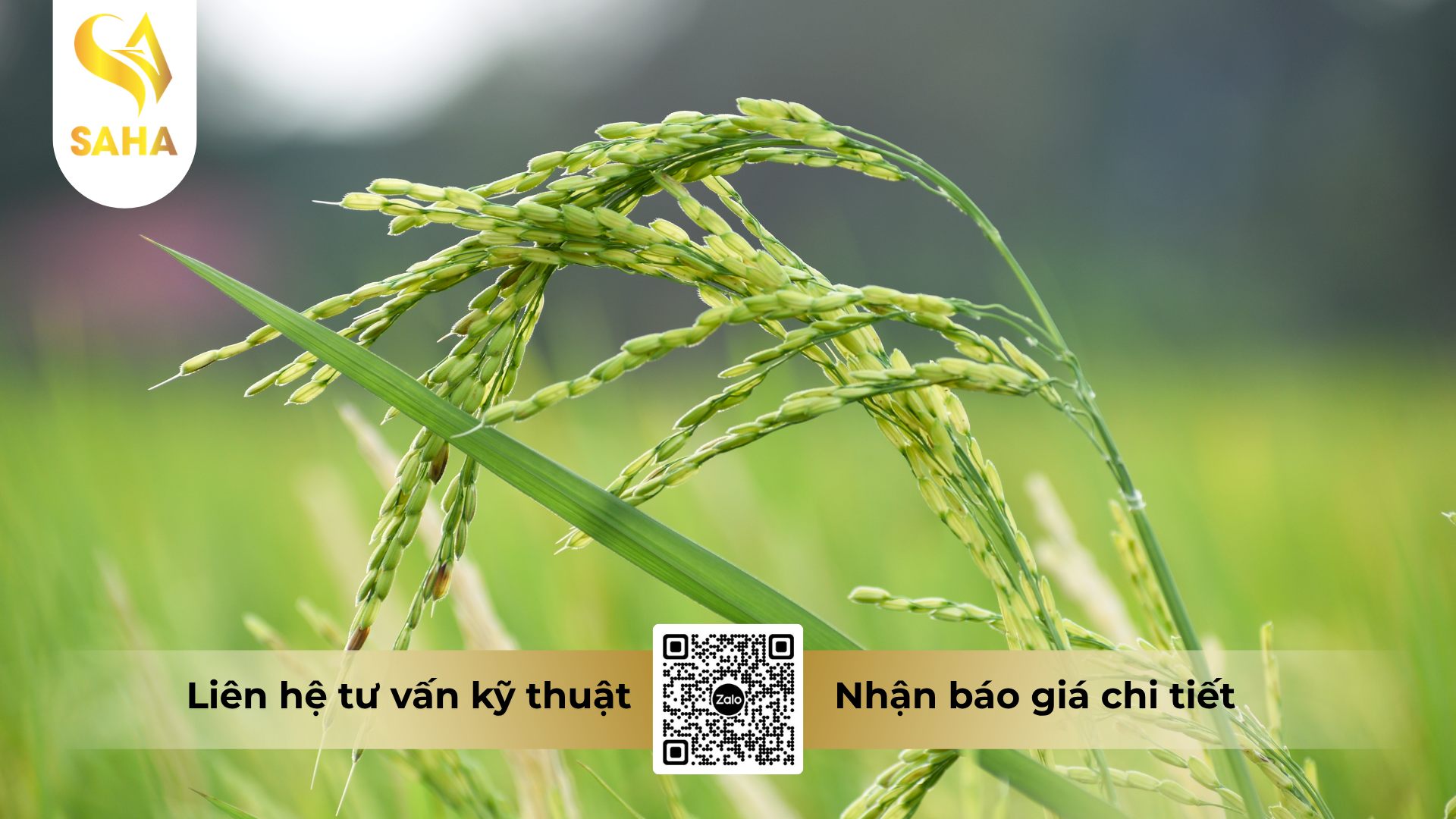cau-hoi-thuong-gap-ve-thuoc-tru-sau-cao-cap-vithadan-95wp-hieu-sadangold-95wp.png