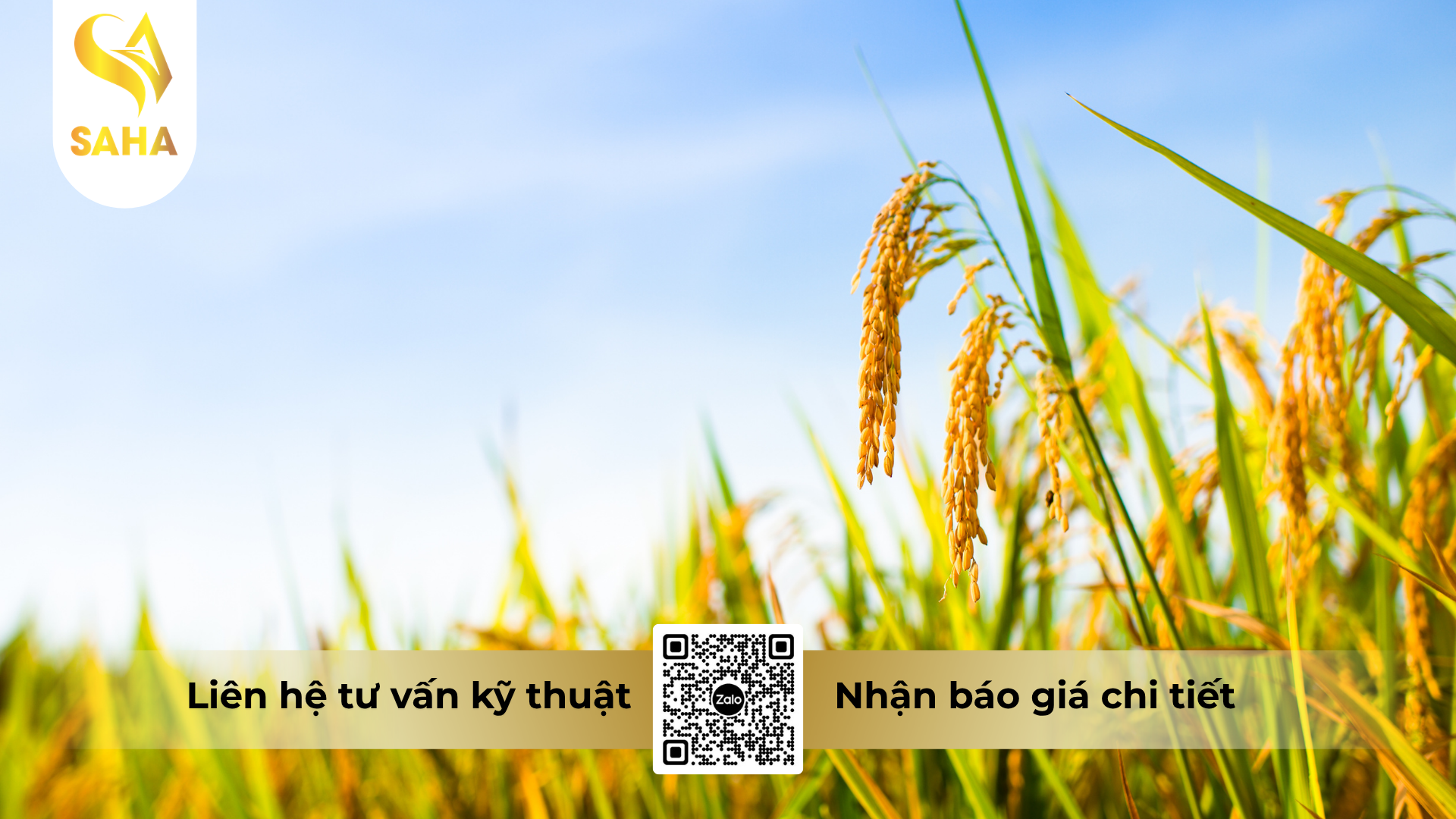 cau-hoi-thuong-gap-ve-thuoc-tru-sau-apashuang-18sl-hieu-duc-than.png