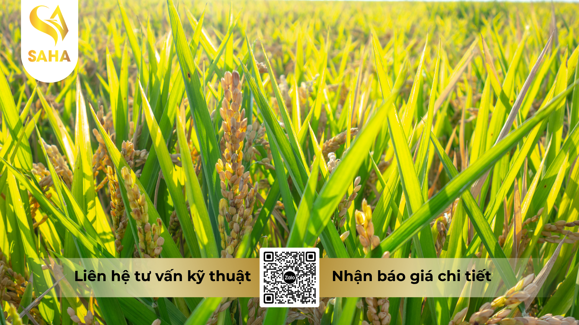 cau-hoi-thuong-gap-ve-thuoc-tru-sau-sinh-hoc-cao-cap-bemab-3-8ec.png