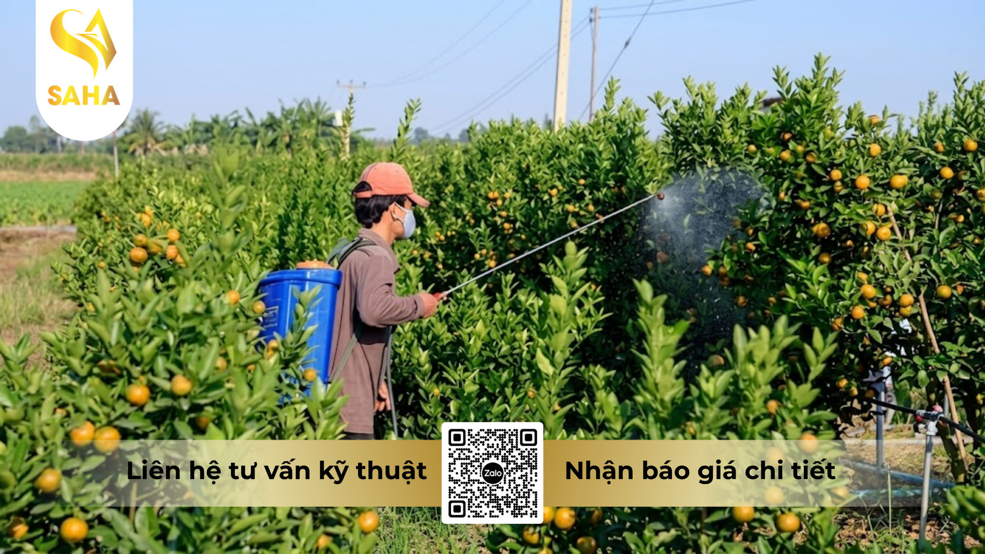 huong-dan-su-dung-thuoc-tru-sau-billaden-50ec-hieu-nimectin-50.png