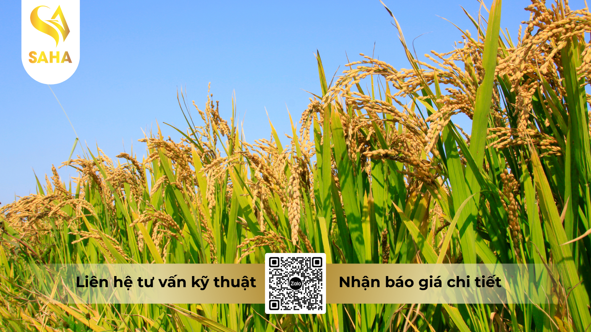 cau-hoi-thuong-gap-ve-thuoc-tru-sau-bnongduyen-4-0ec-hieu-pometin-4-0.png