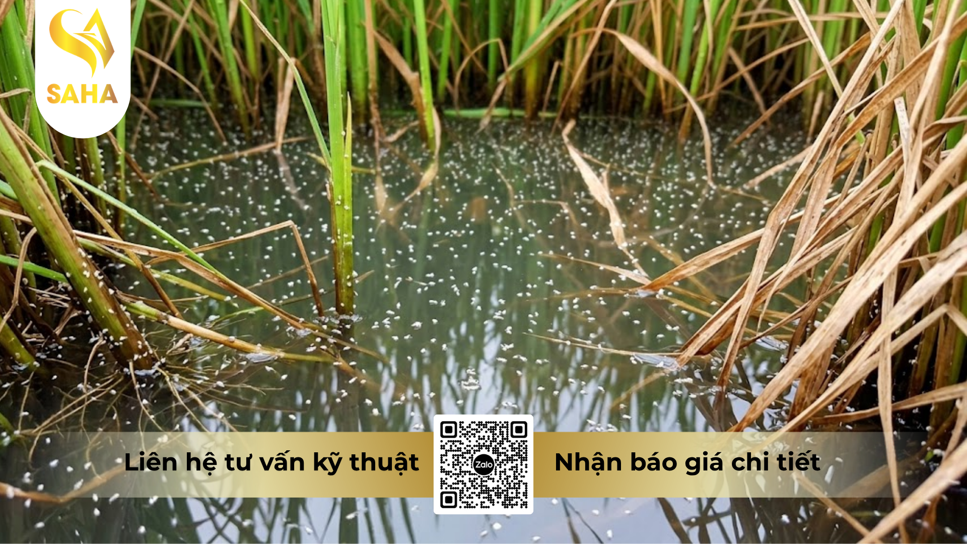 cong-dung-cua-thuoc-tru-sau-bach-tuong-64ec-hieu-emani-640-240ml.png