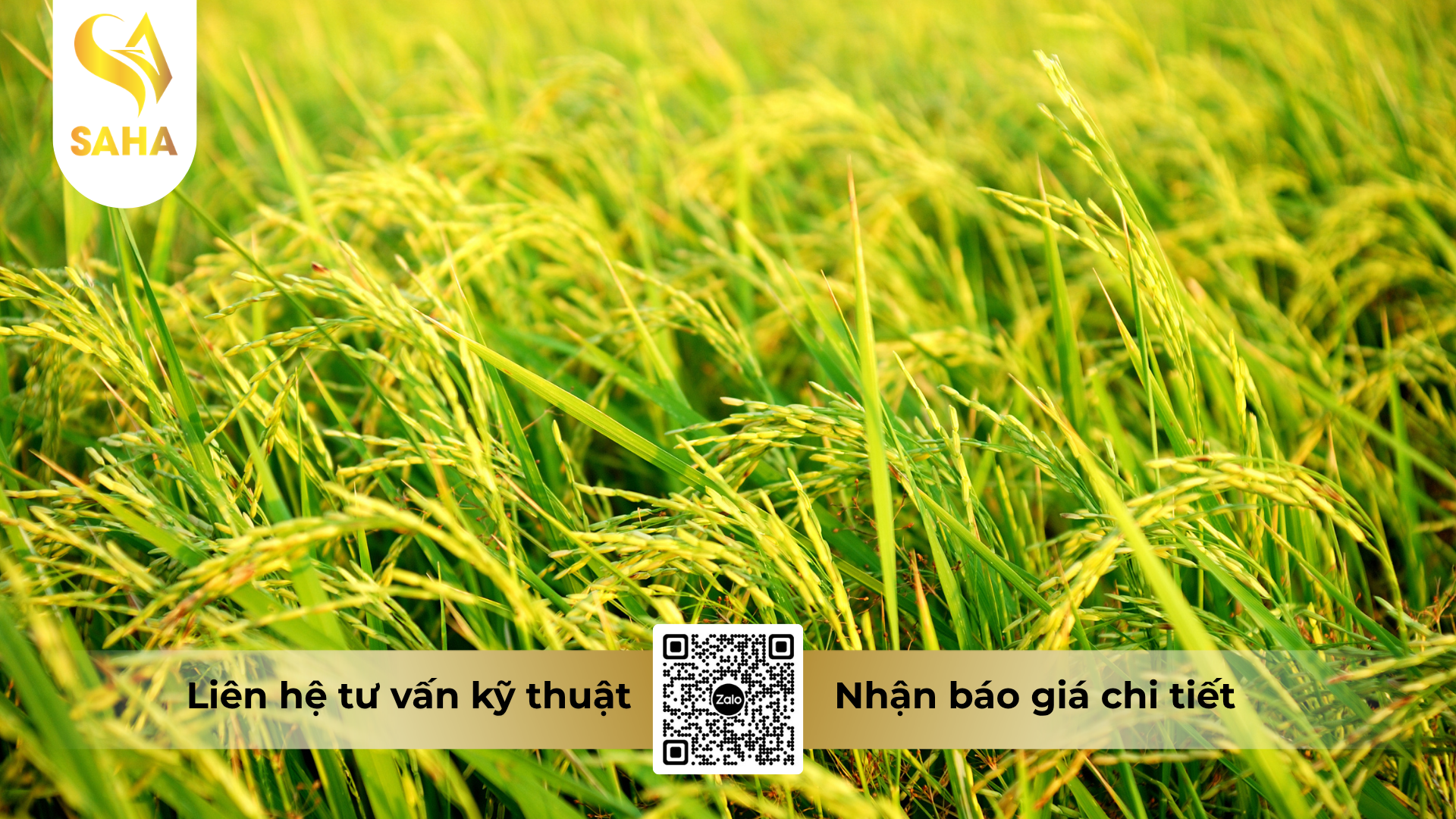 cau-hoi-thuong-gap-ve-thuoc-tru-sau-bach-tuong-64ec-hieu-emani-640-450ml.png