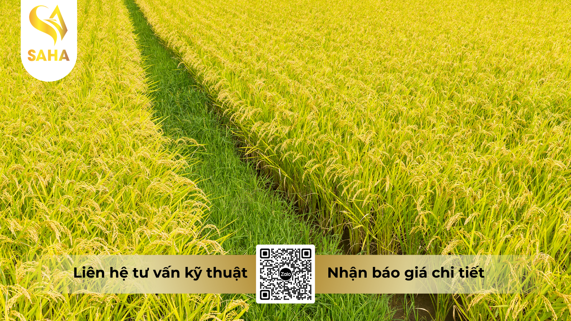 cau-hoi-thuong-gap-ve-thuoc-tru-sau-creek-2-1ec-hieu-ziksau-2-1.png
