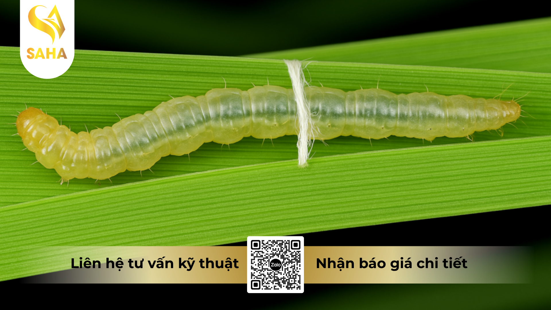 cong-dung-cua-thuoc-tru-sau-creek-2-1ec-hieu-ziksau-2-1.png
