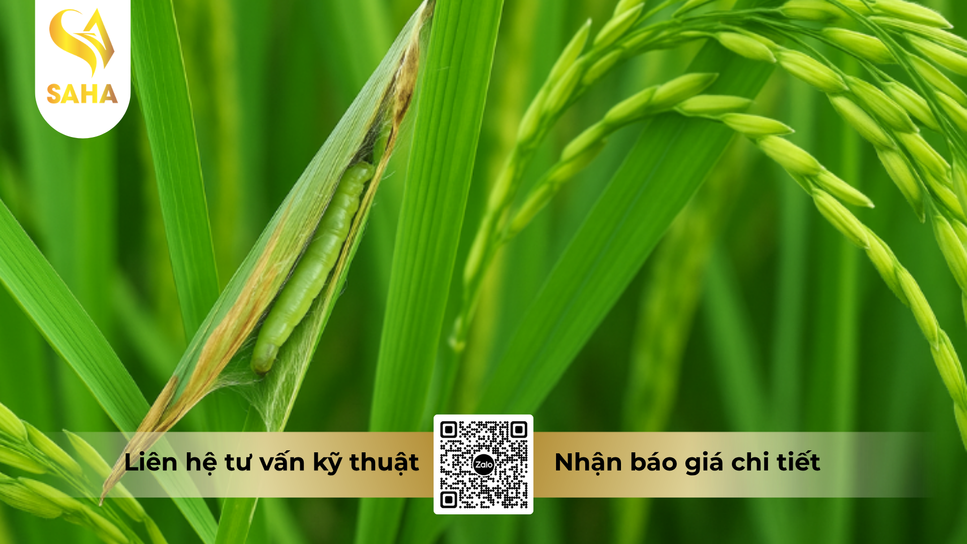 cong-dung-cua-thuoc-tru-sau-dotimec-9ec-hieu-abaperin-n.png