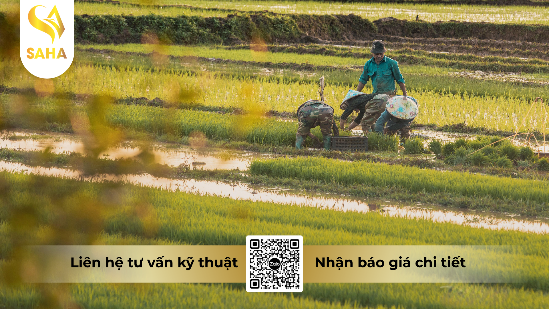 cau-hoi-thuong-gap-ve-thuoc-tru-sau-dotimec-9ec-hieu-abaperin-n.png