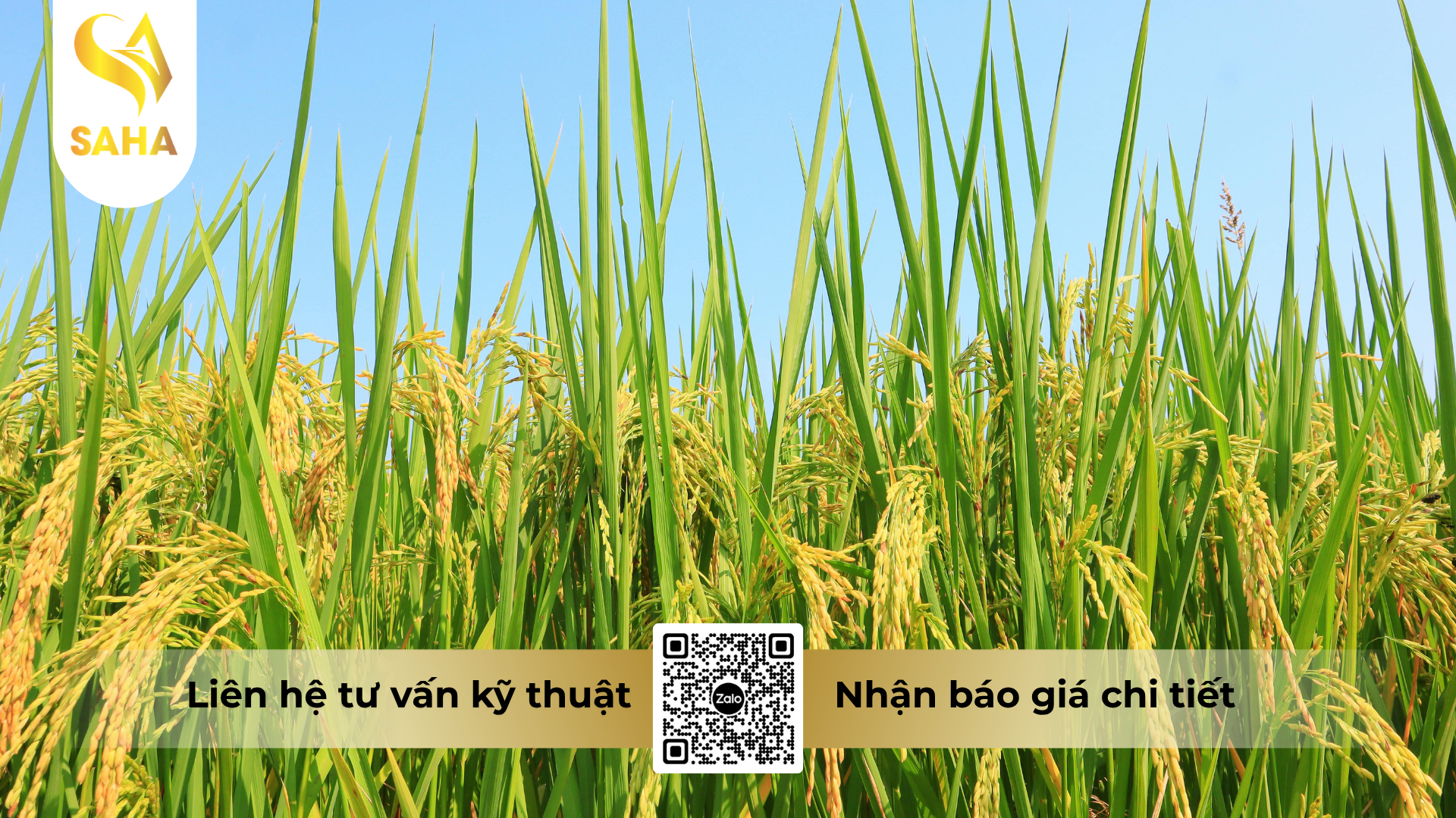 cau-hoi-thuong-gap-ve-thuoc-tru-sau-feat-25ec-hieu-sanoil-250-450ml.png