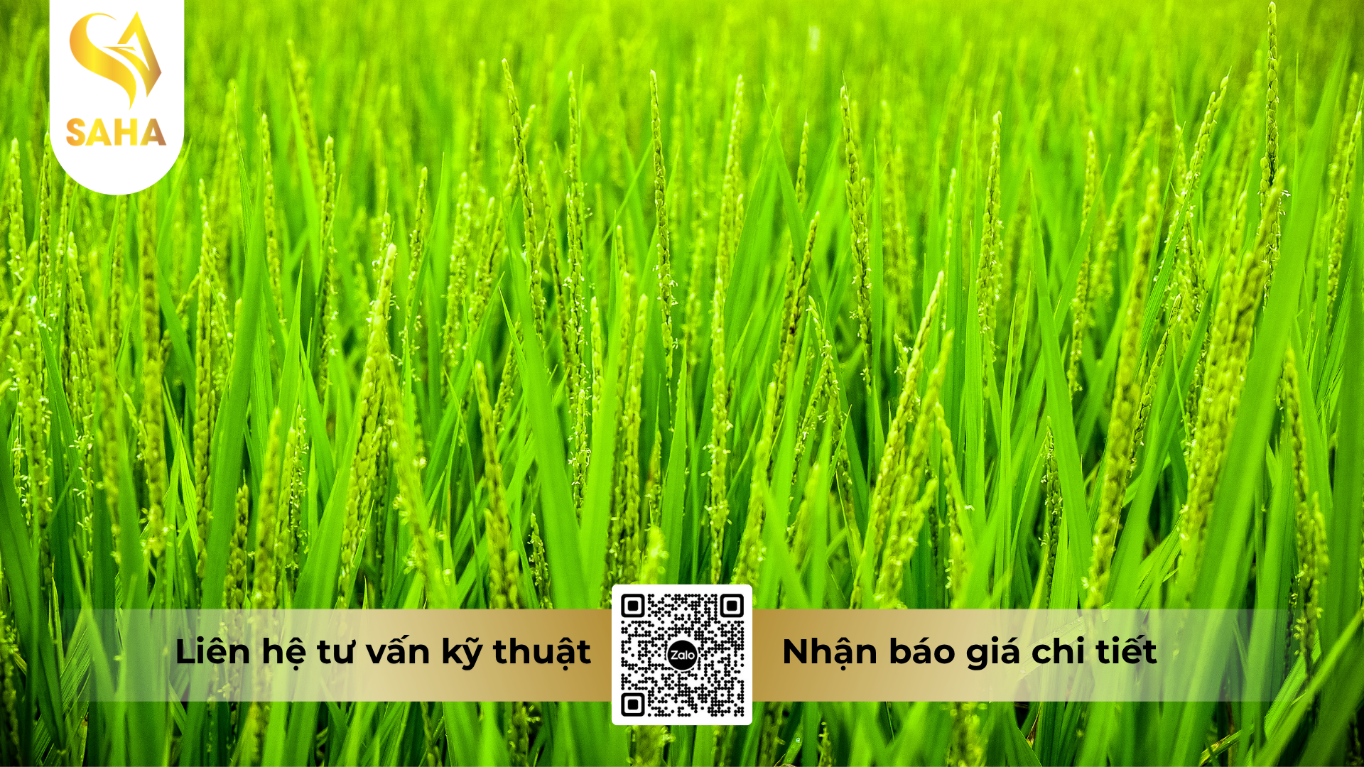 cau-hoi-thuong-gap-ve-thuoc-tru-sau-haihamec-3-6ec-hieu-dietoc-3-6.png