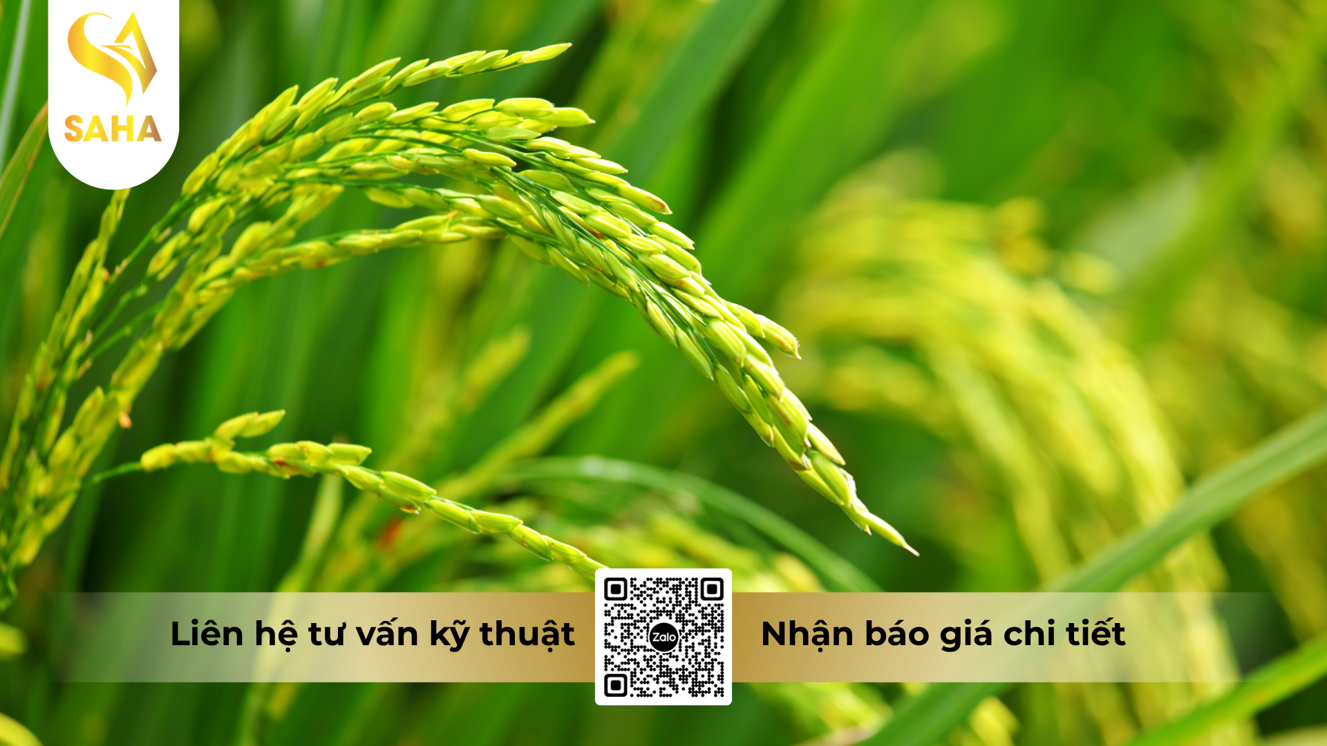 cau-hoi-thuong-gap-ve-thuoc-tru-sau-haihamec-3-6ec-hieu-reman-3-6.png