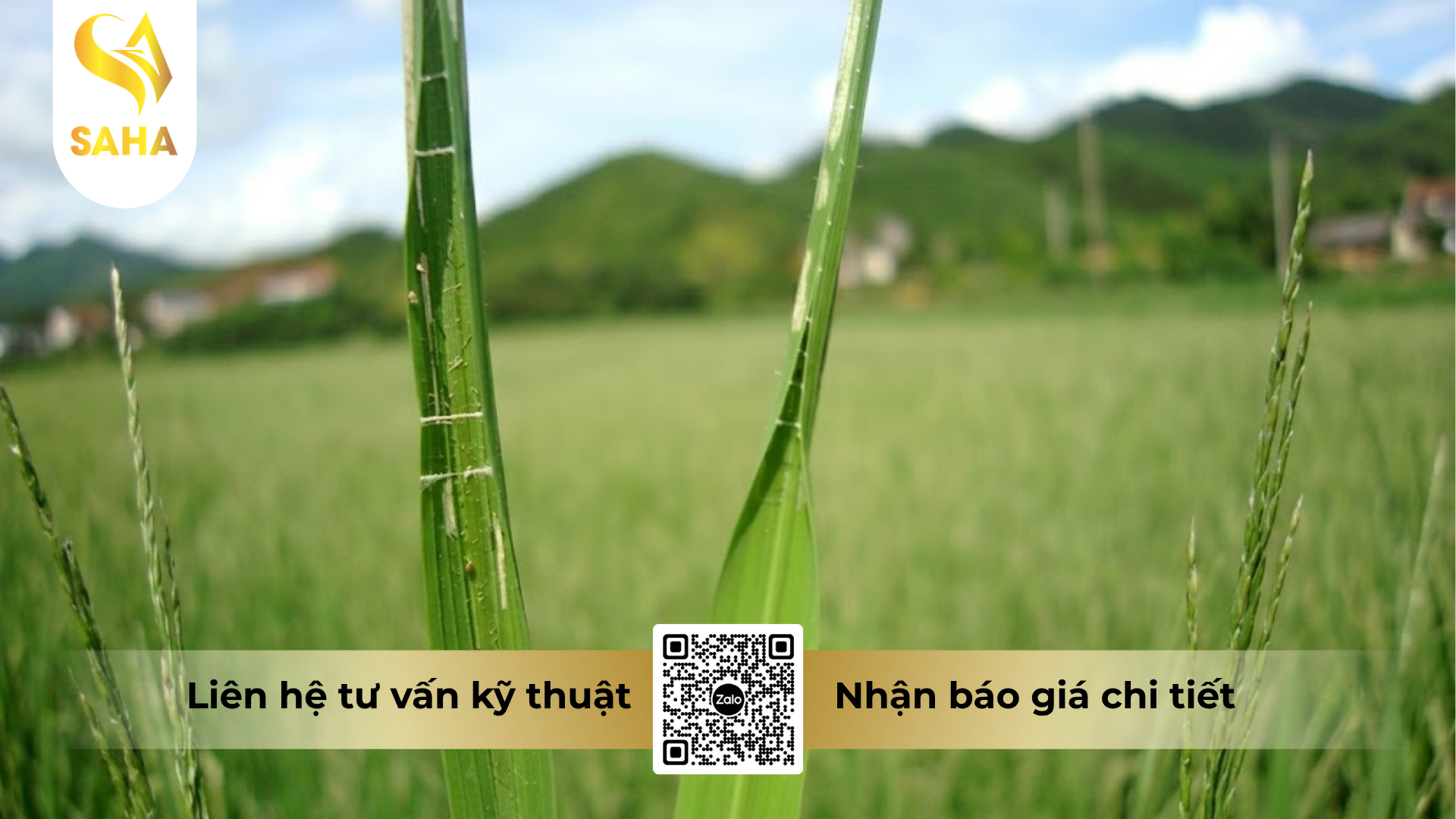 cong-dung-cua-thuoc-tru-sau-haihamec-3-6ec-hieu-retan-3-6.png