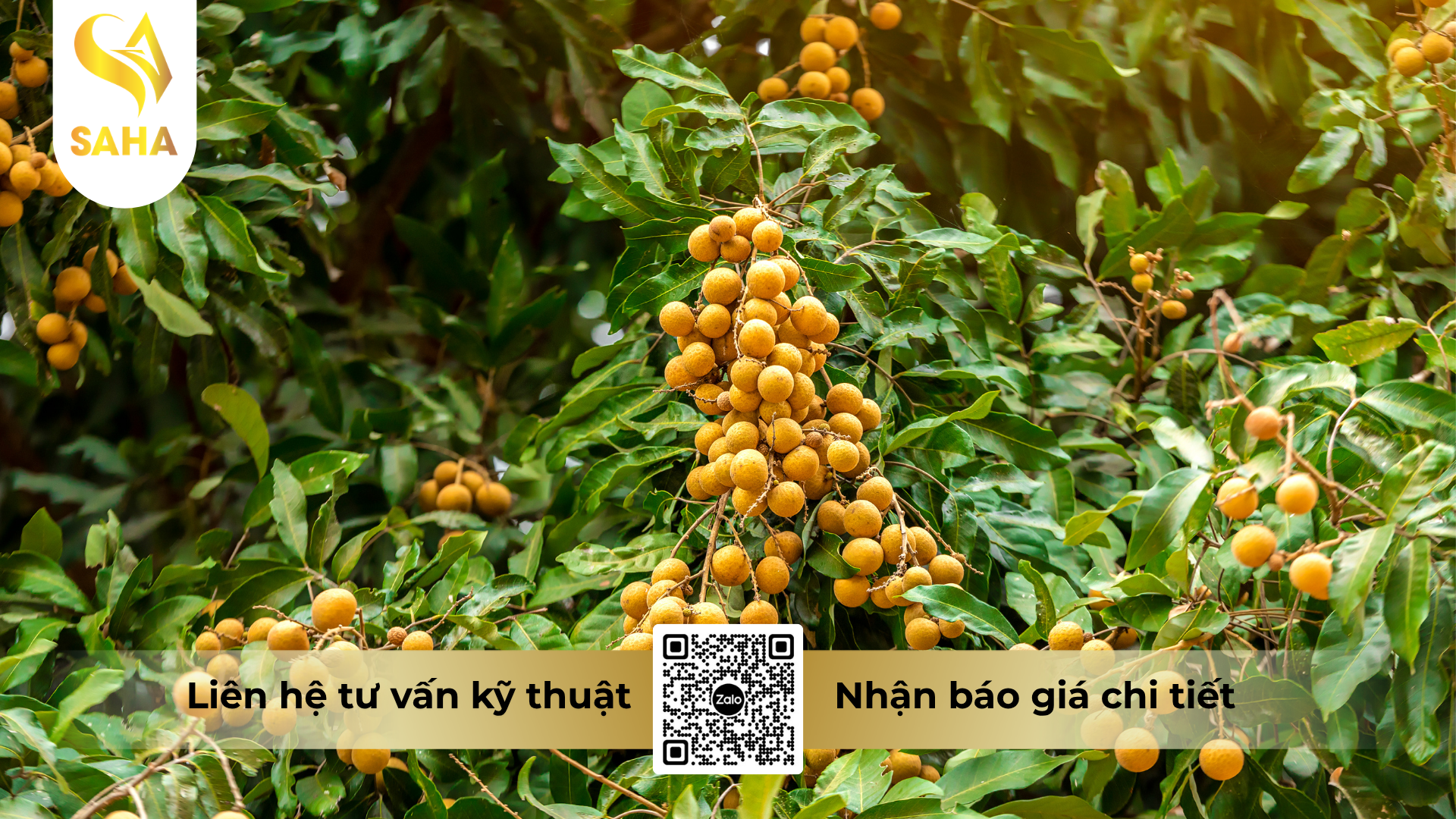 cau-hoi-thuong-gap-ve-thuoc-tru-sau-kimcis-20ec.png