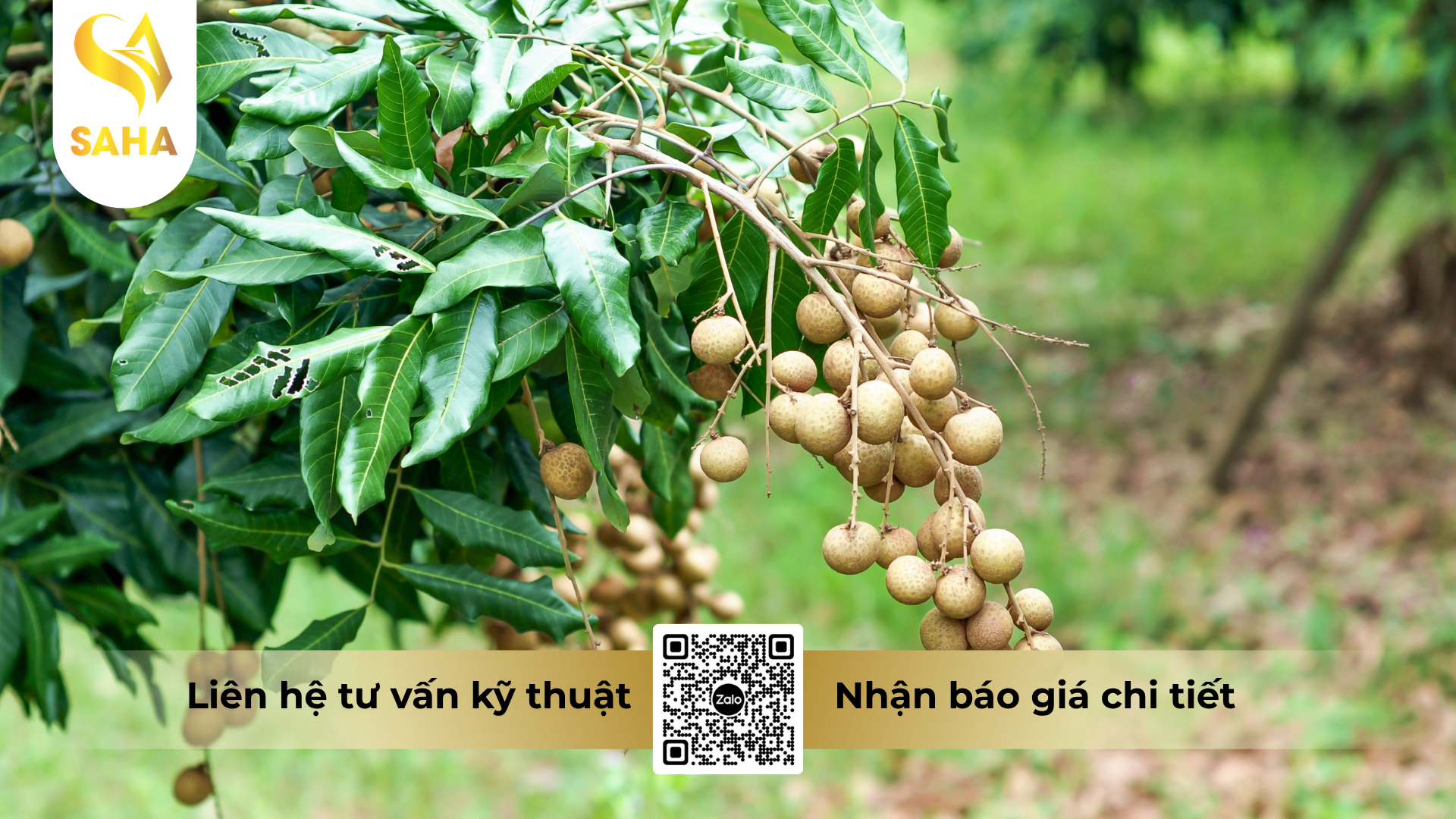 cau-hoi-thuong-gap-ve-thuoc-tru-sau-kimcis-20ec-450ml.png