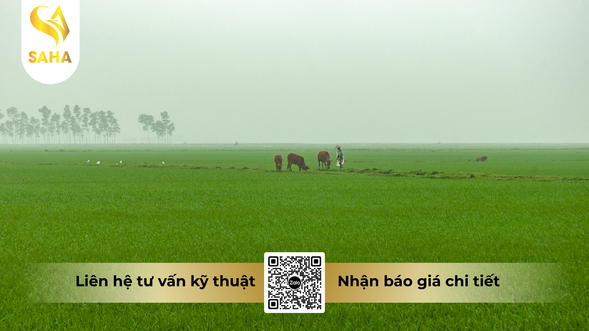 cau-hoi-thuong-gap-ve-thuoc-tru-sau-prodife-s-5-8ec-hieu-sanema-580.png
