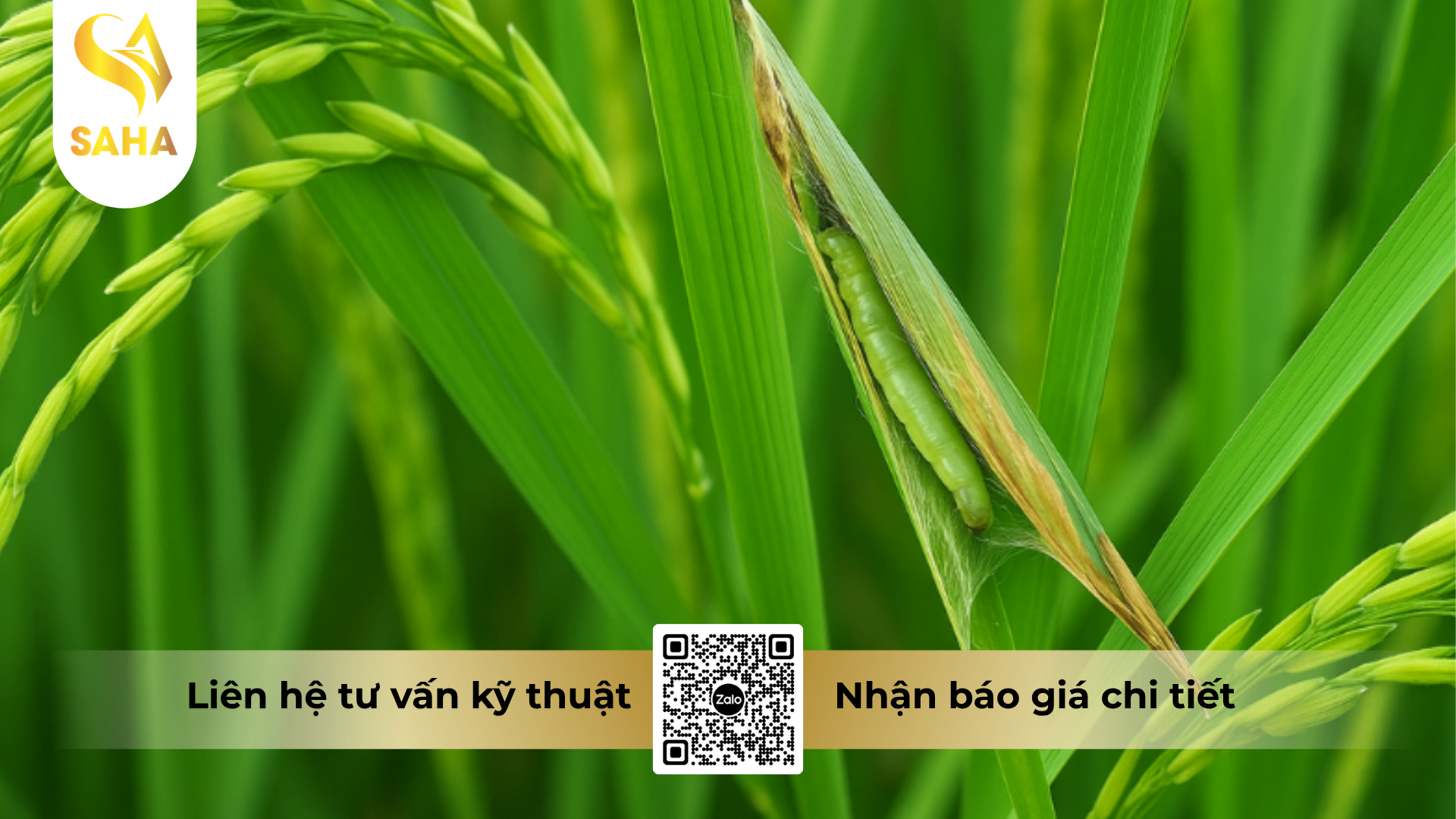 cong-dung-cua-thuoc-tru-sau-prodife-s-5-8ec-hieu-sanema-580.png
