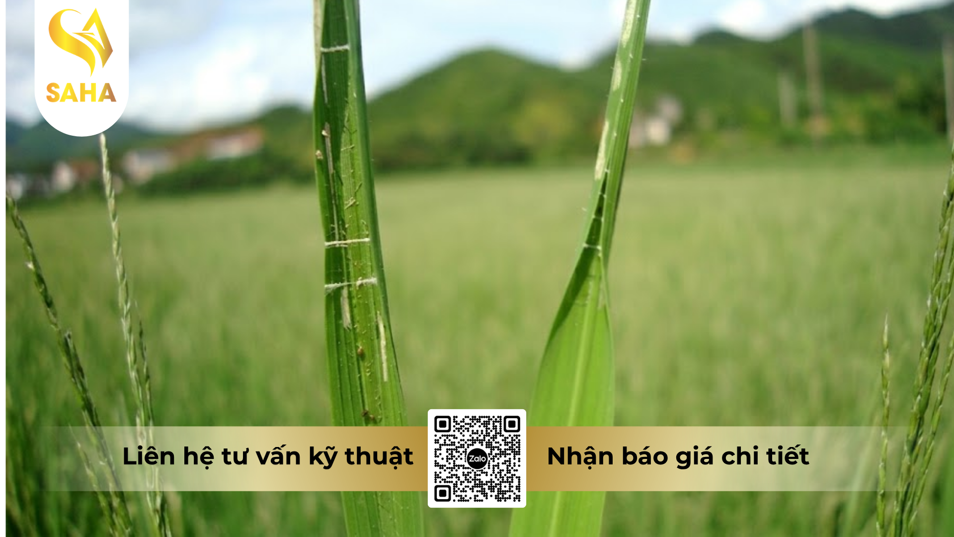 cau-hoi-thuong-gap-ve-thuoc-tru-sau-reasgant-3-6ec.png