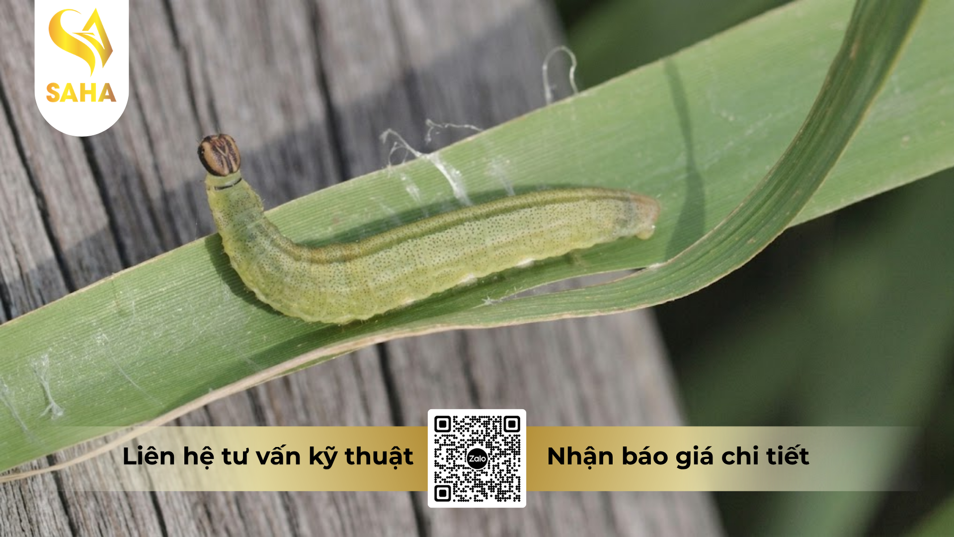 cong-dung-cua-thuoc-tru-sau-reasgant-3-6ec.png