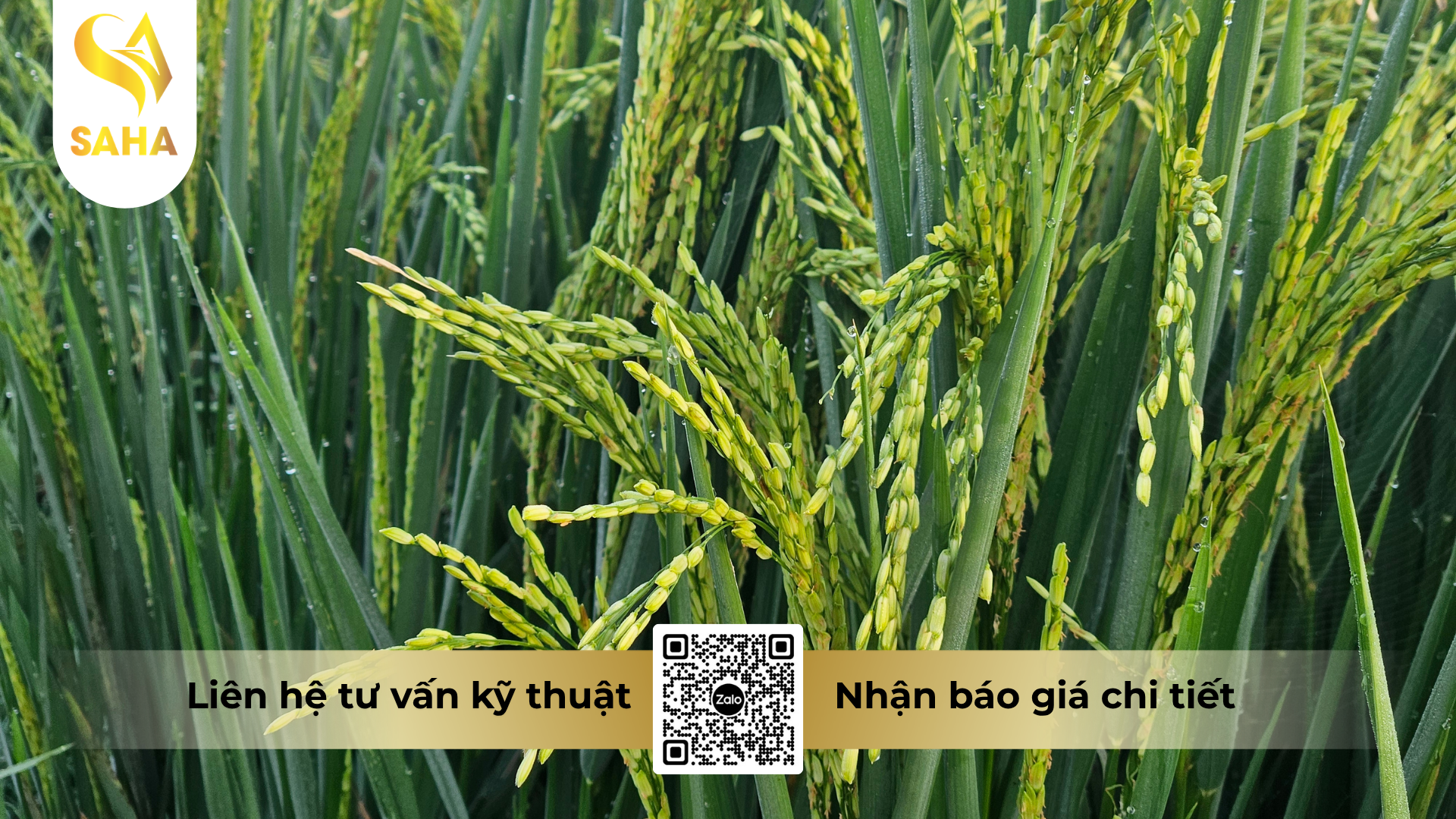 cau-hoi-thuong-gap-ve-thuoc-tru-sau-tc-nam-sao-20ec-hieu-su-tu-gam.png